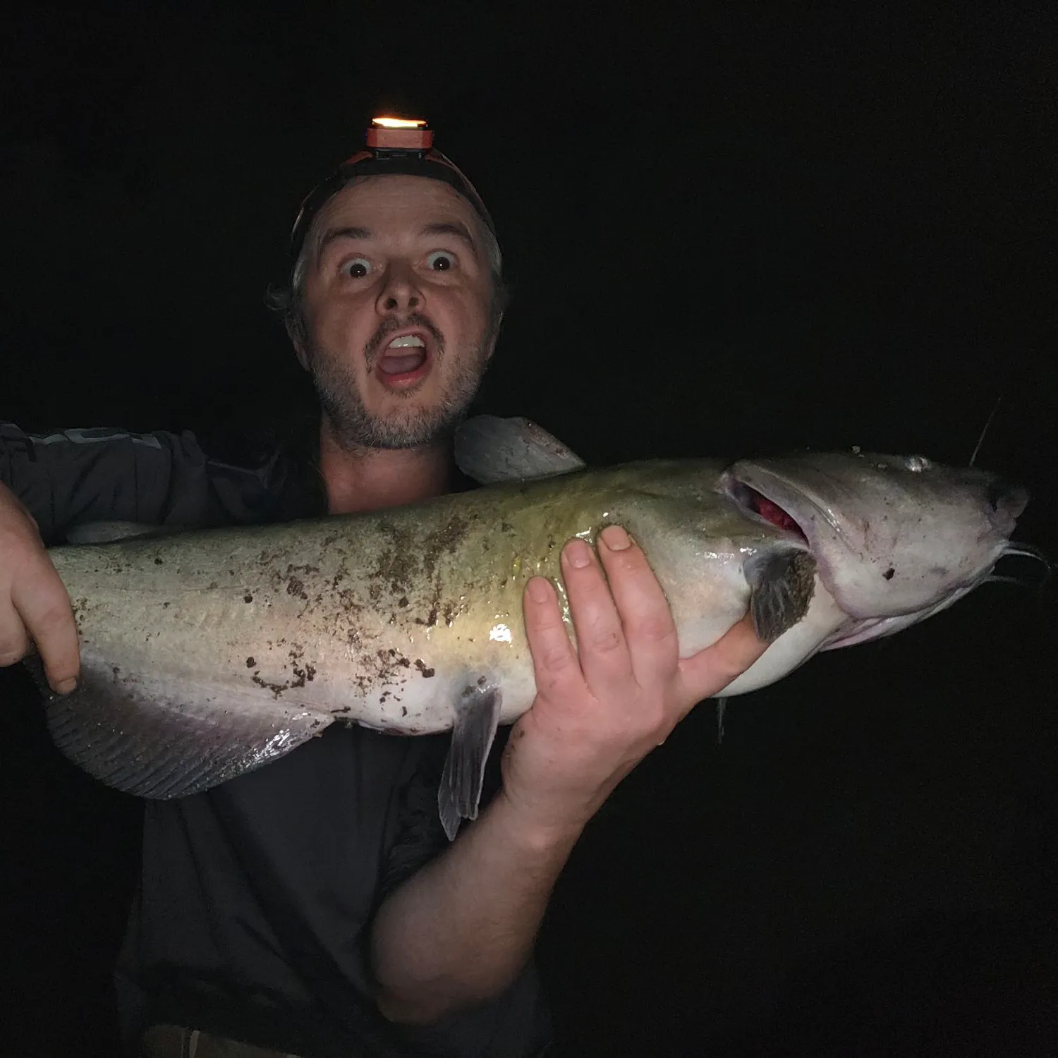 Channel catfish caught on Fishbrain