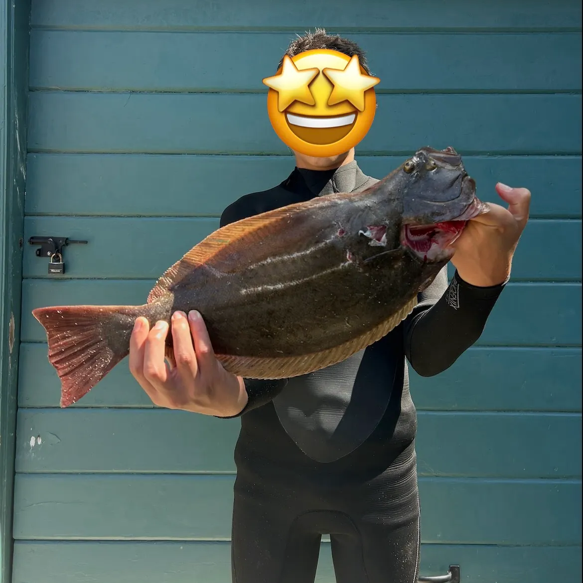 California halibut caught on Fishbrain