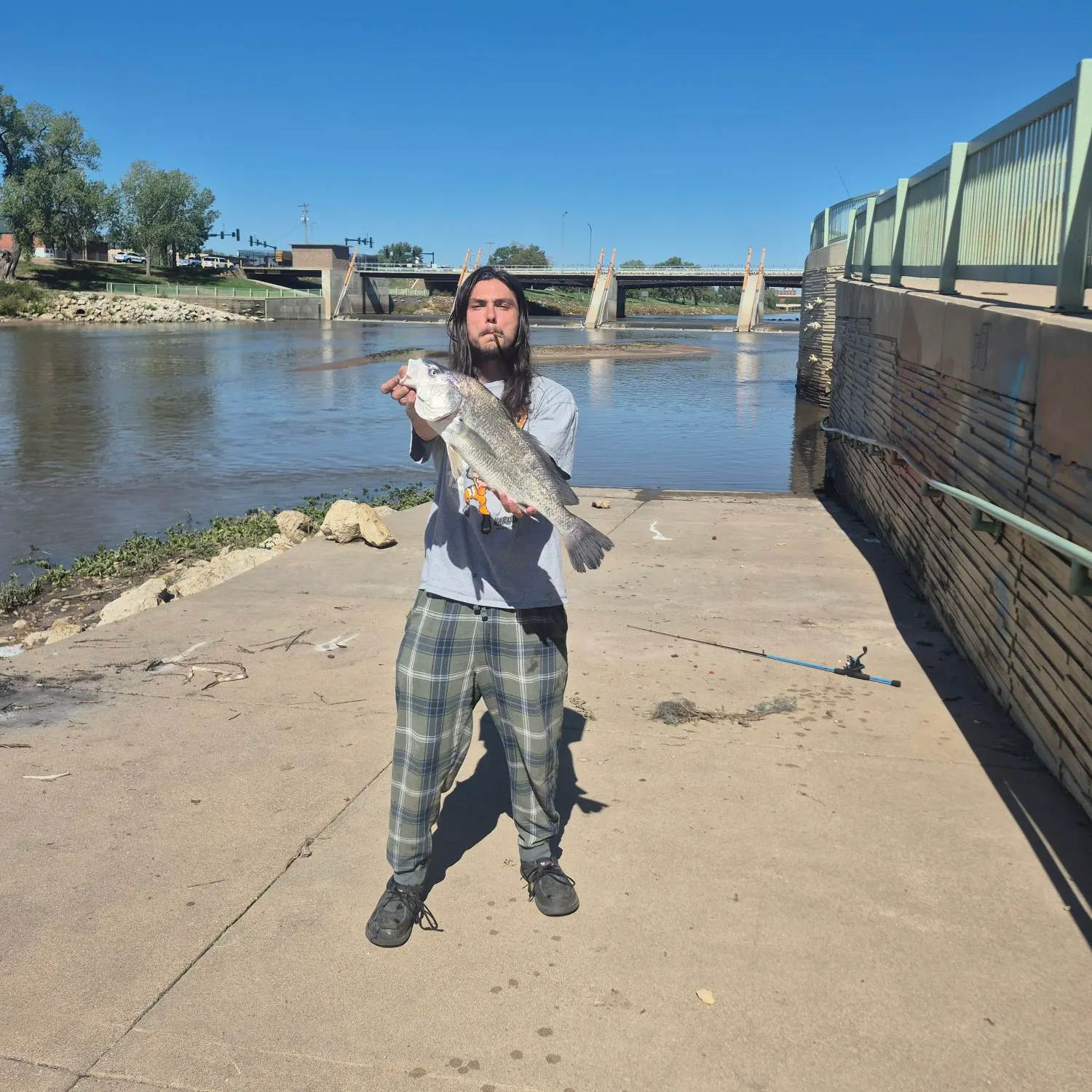 Freshwater drum caught on Fishbrain