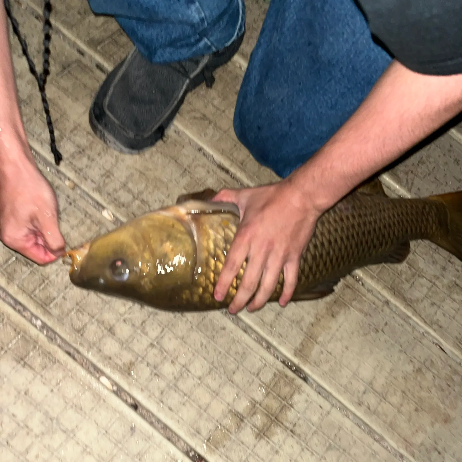 catch