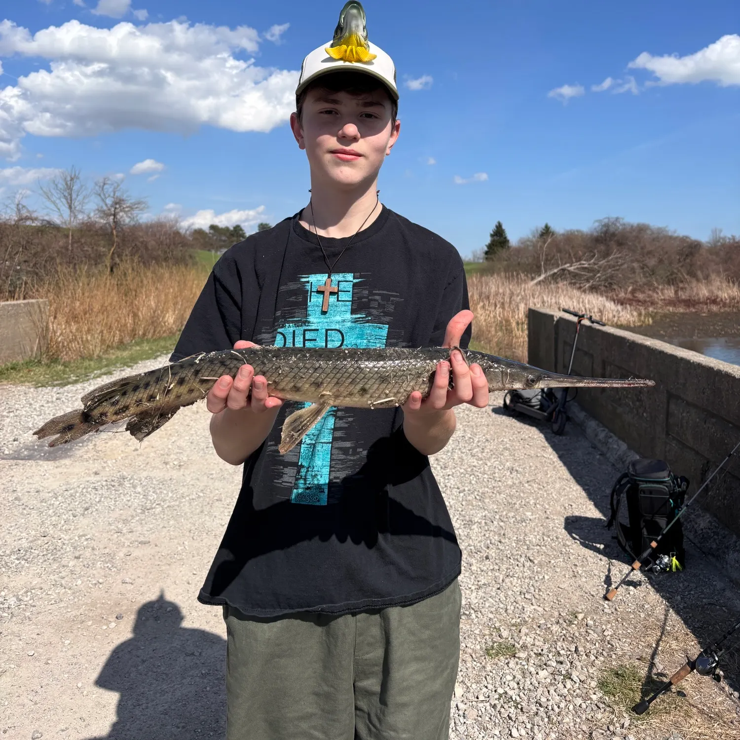 The most recent Spotted gar catches on Fishbrain