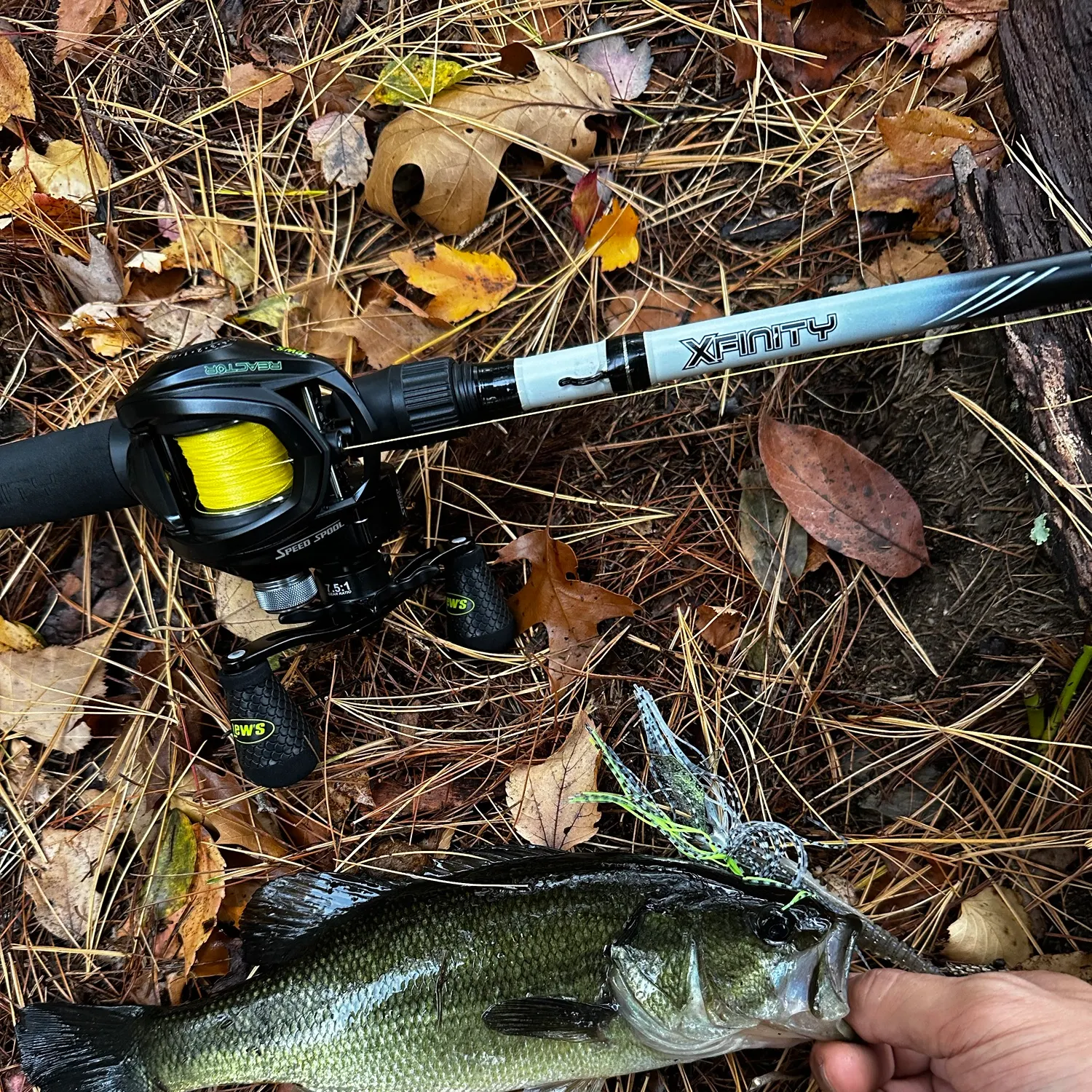 Largemouth bass caught on Fishbrain