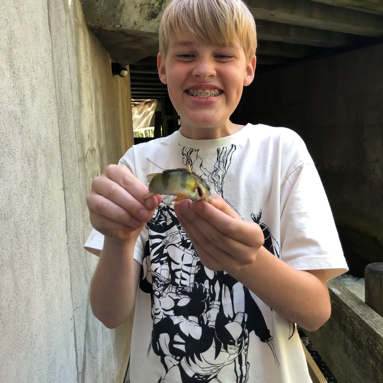 The most recent European perch catches on Fishbrain