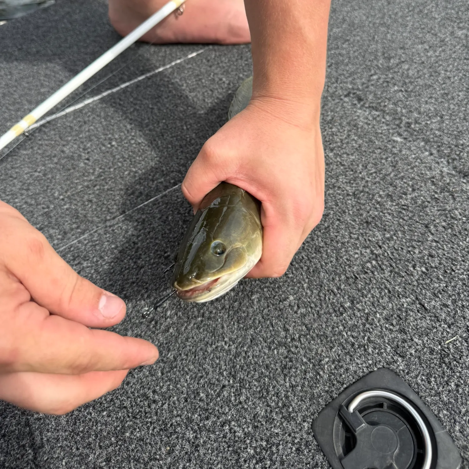 catch