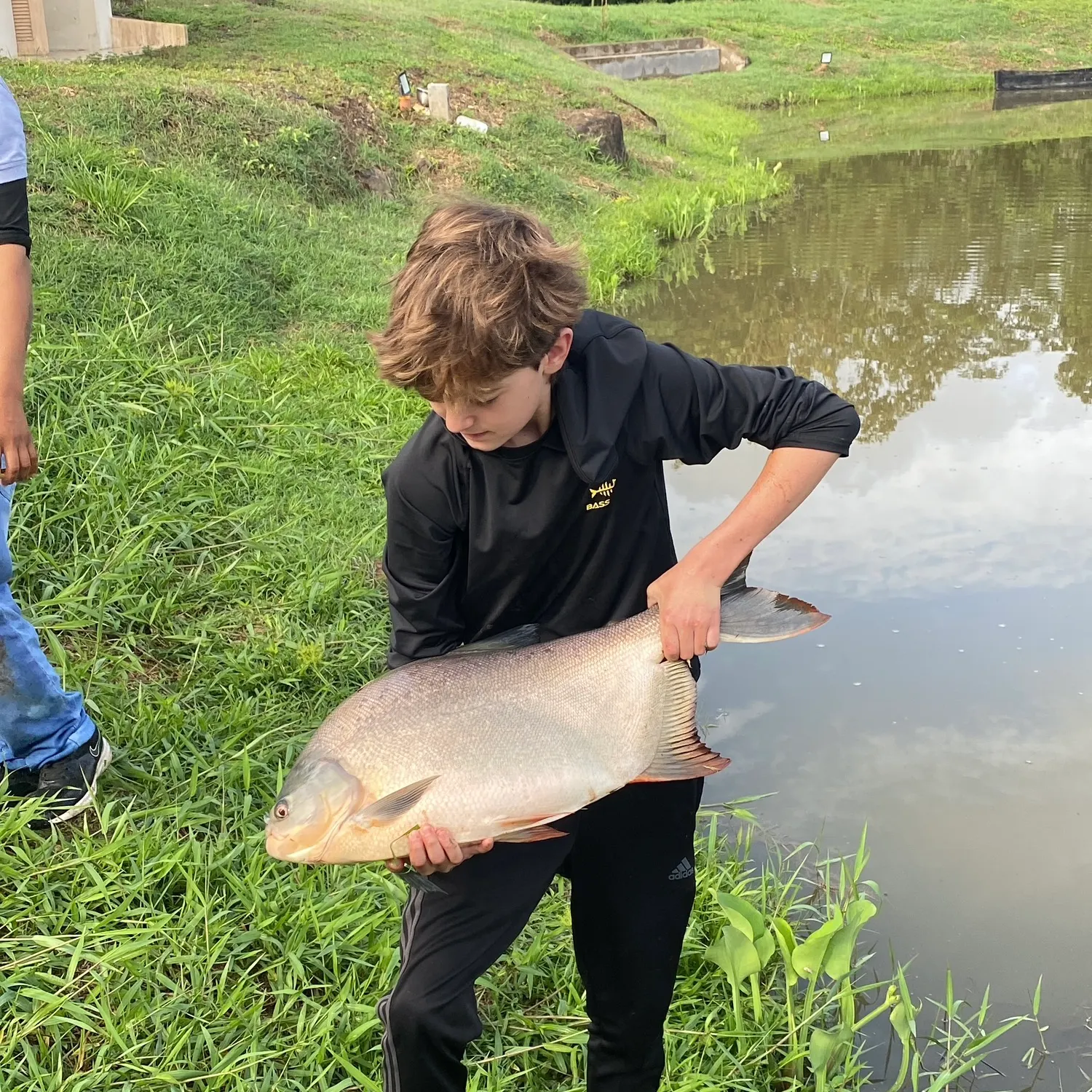 The most recent Red-bellied pacu catches on Fishbrain