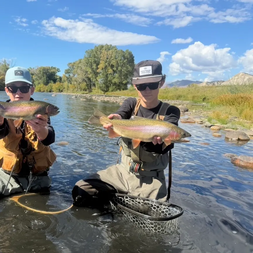 Rainbow trout caught on Fishbrain