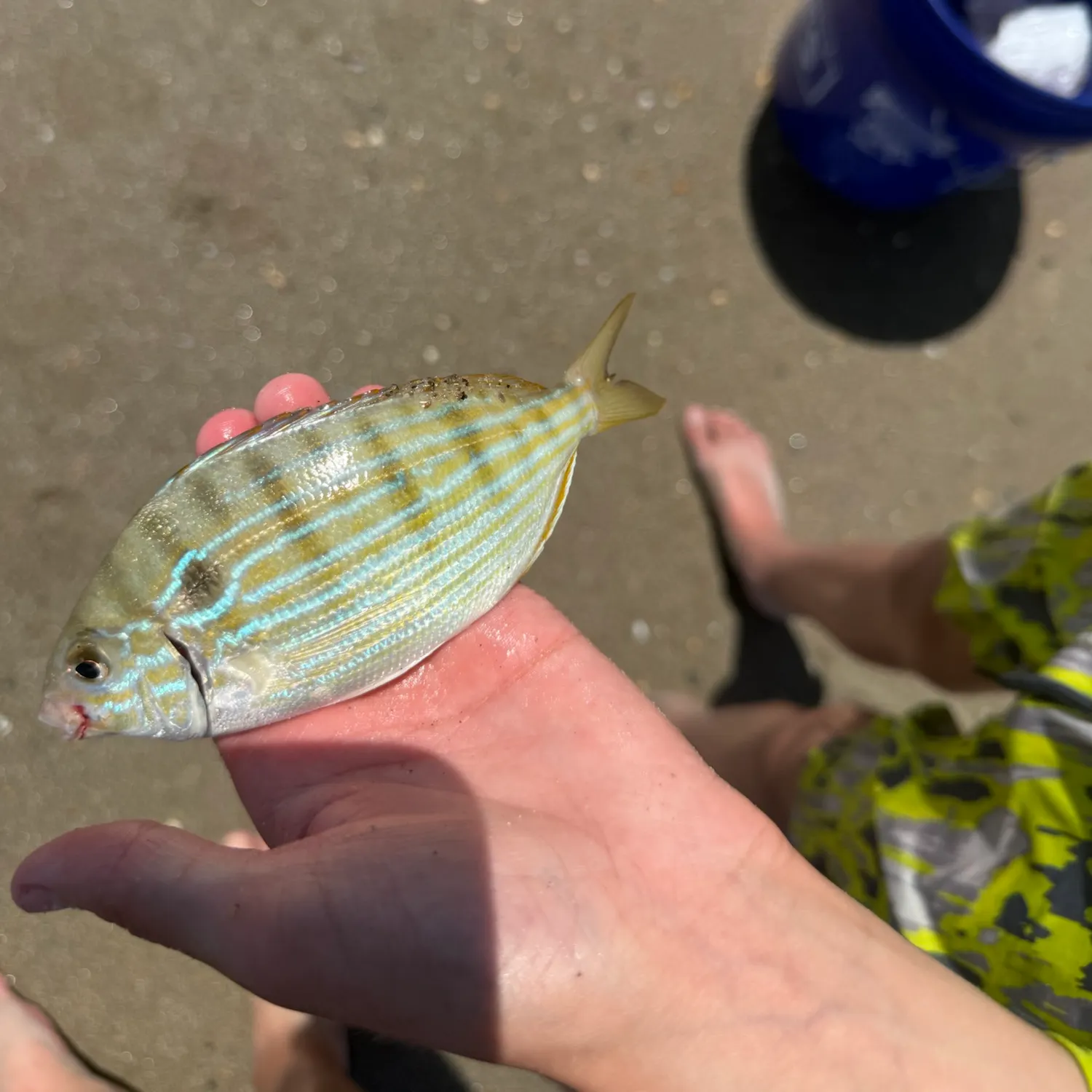 catch