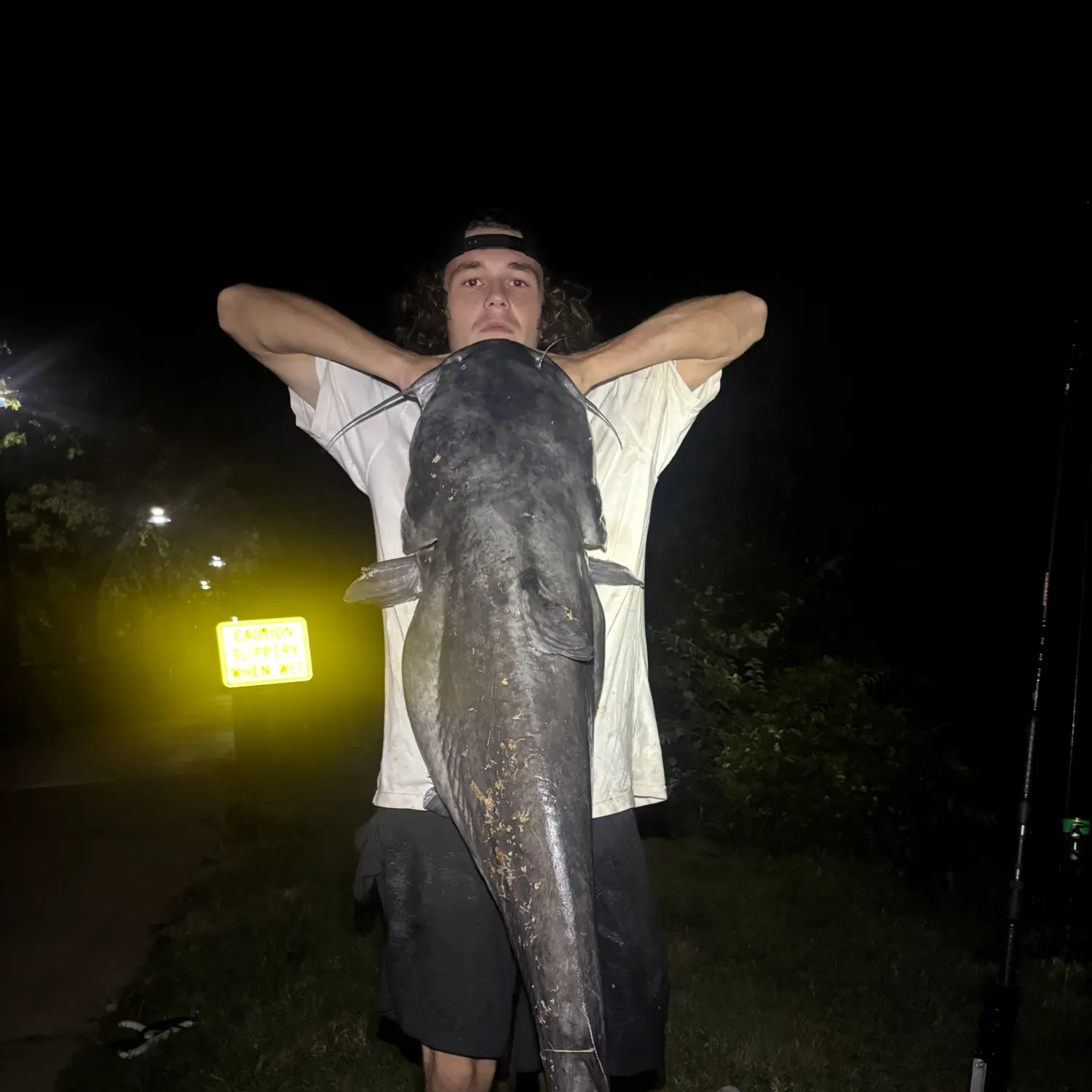 Blue catfish caught on Fishbrain