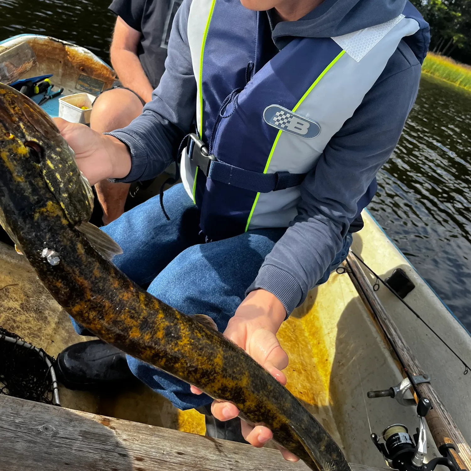 Northern pike caught on Fishbrain
