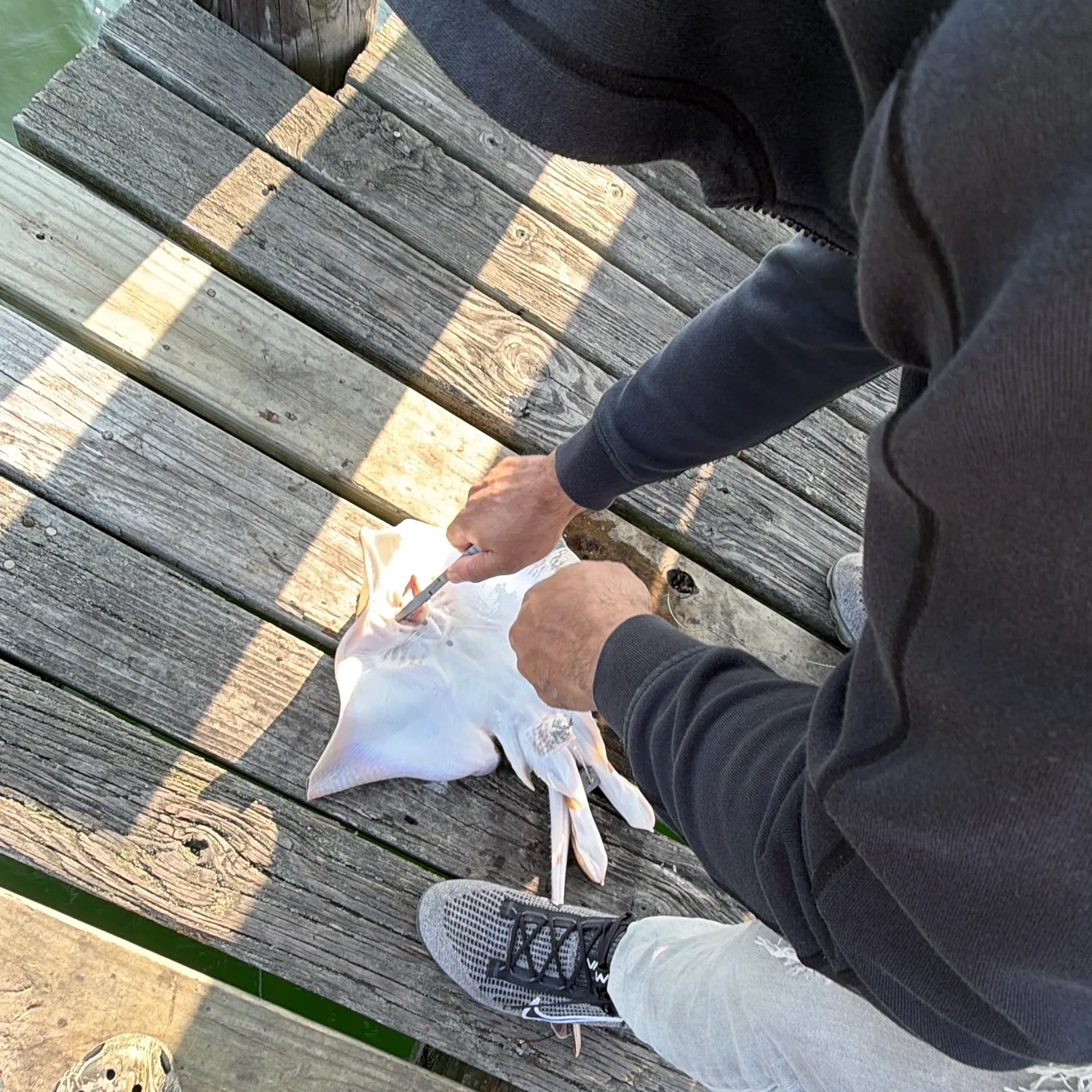 catch
