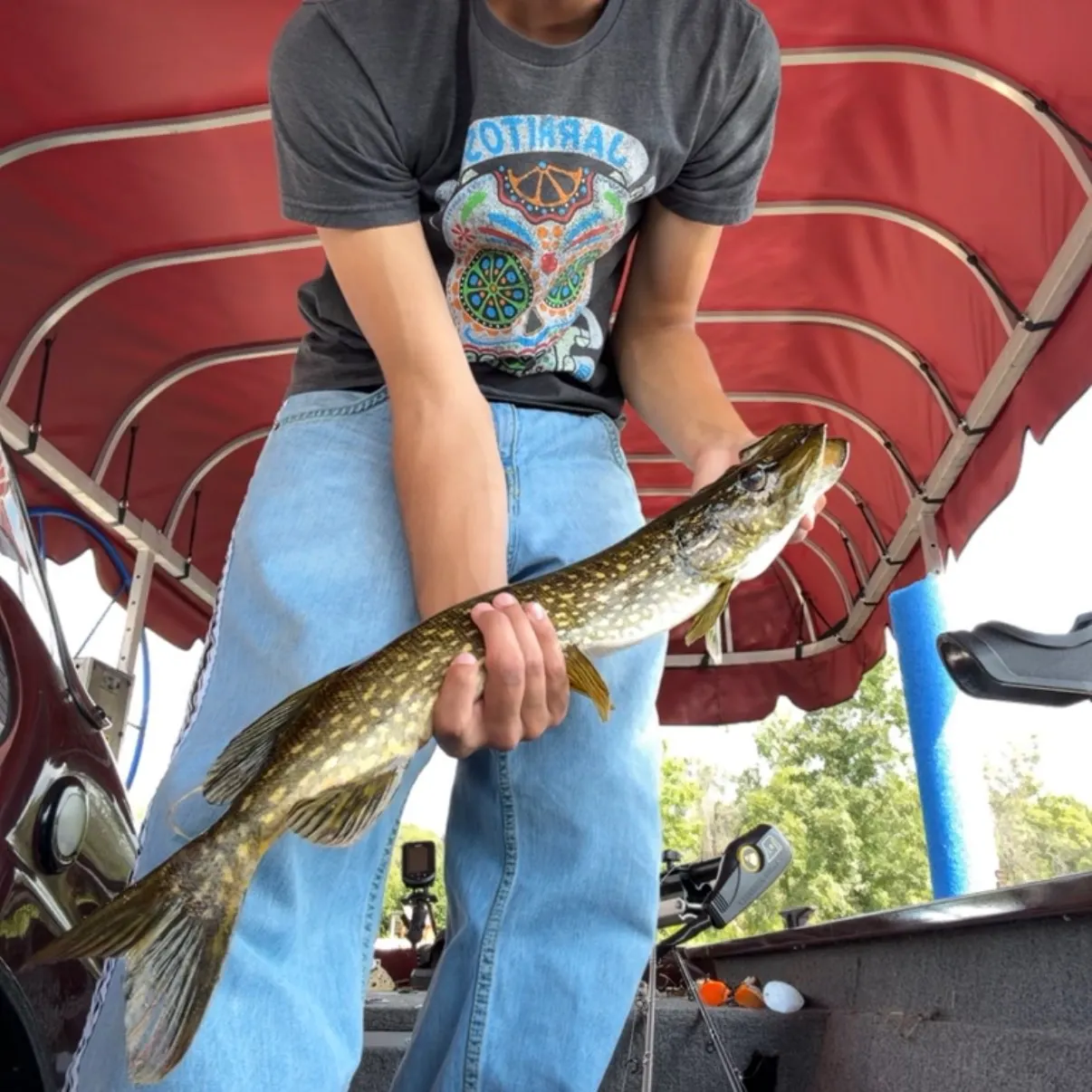 Northern pike caught on Fishbrain