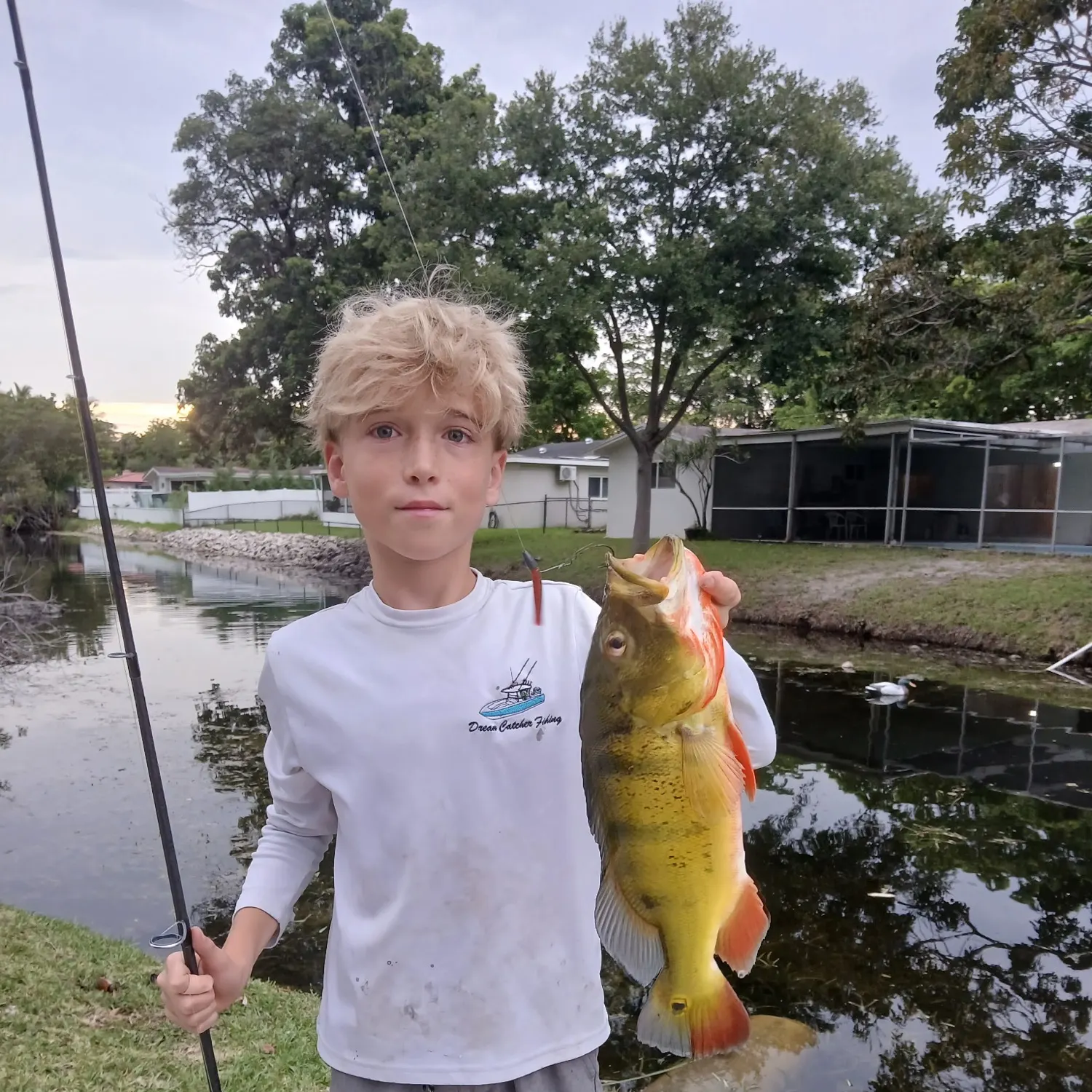 The most recent Butterfly peacock bass catches on Fishbrain