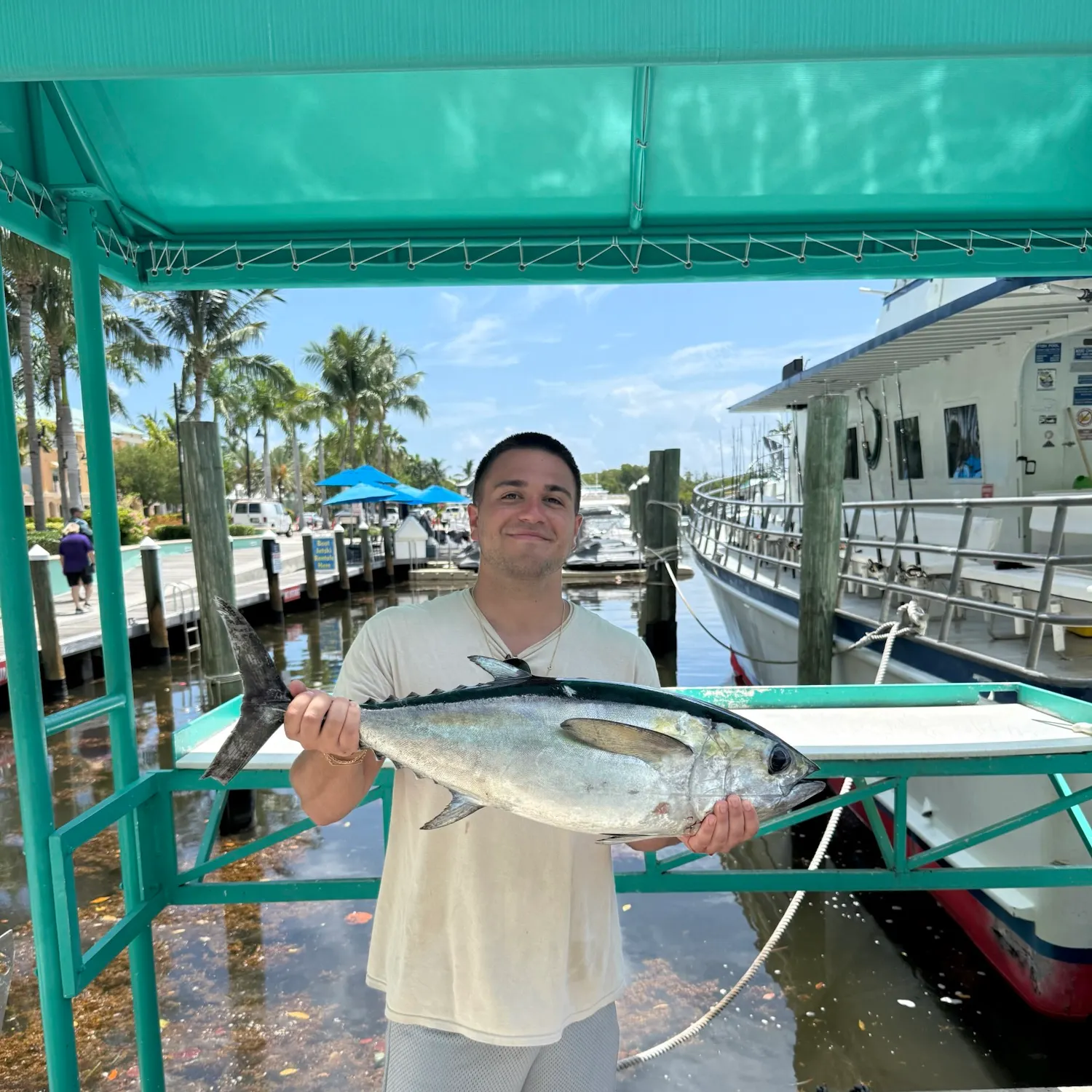 The most recent Blackfin tuna catches on Fishbrain