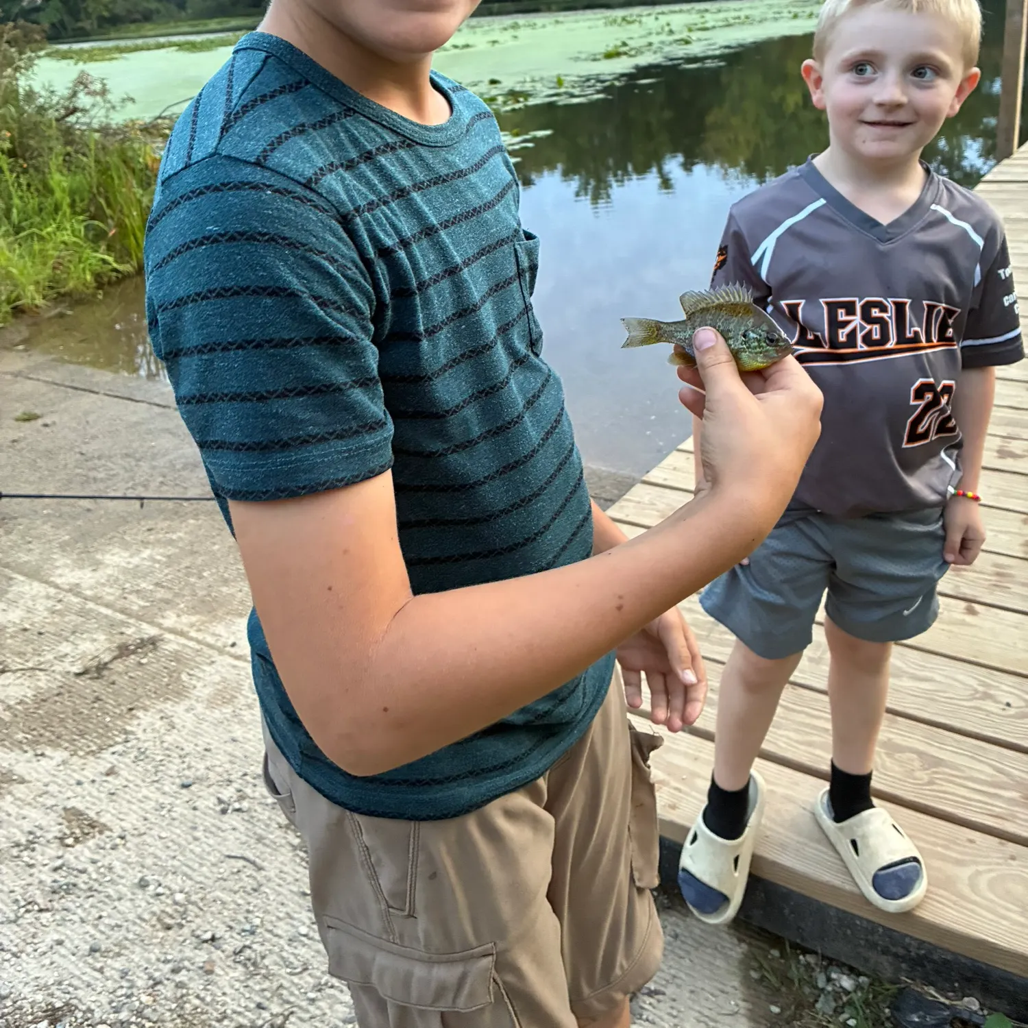 Pumpkinseed caught on Fishbrain