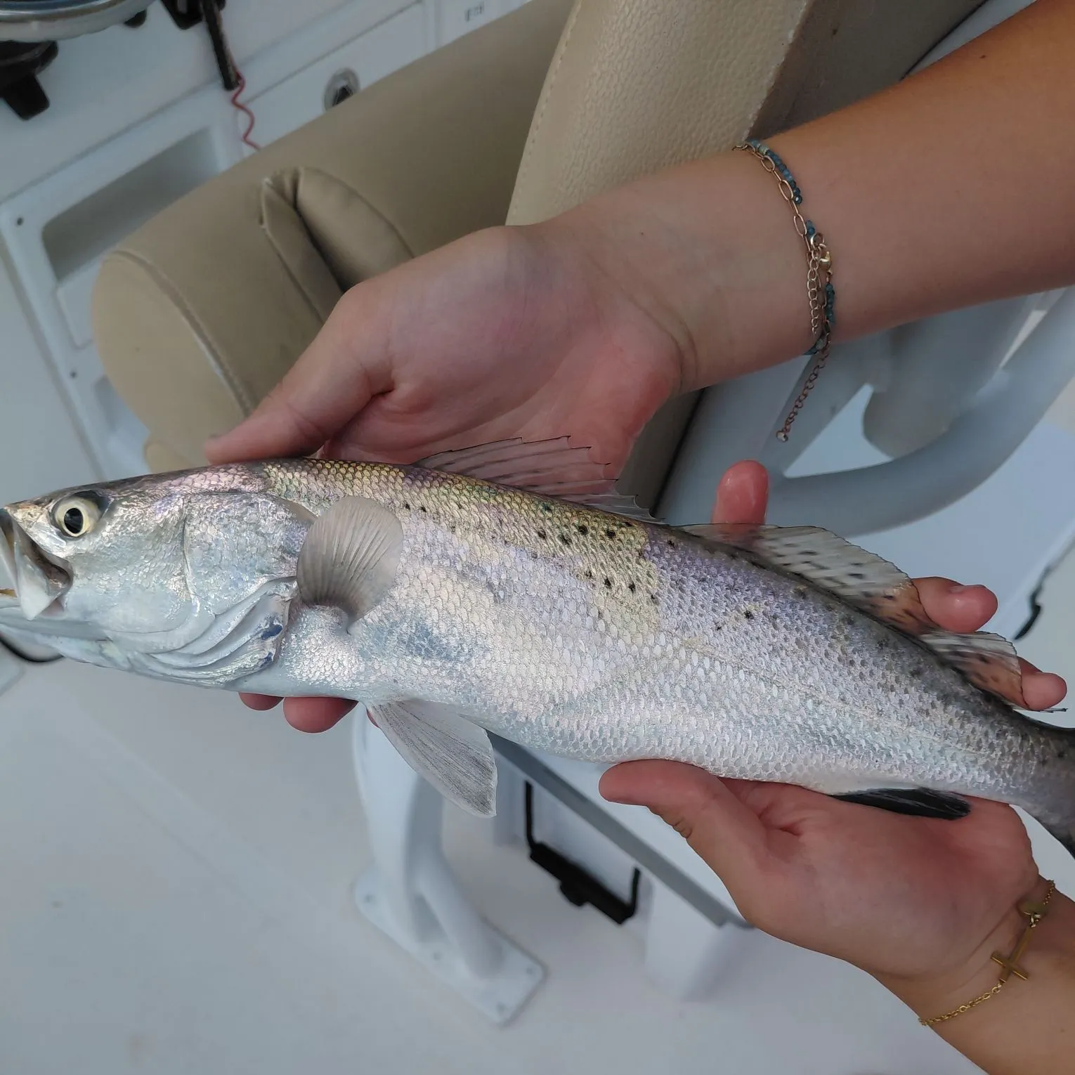 Spotted seatrout caught on Fishbrain