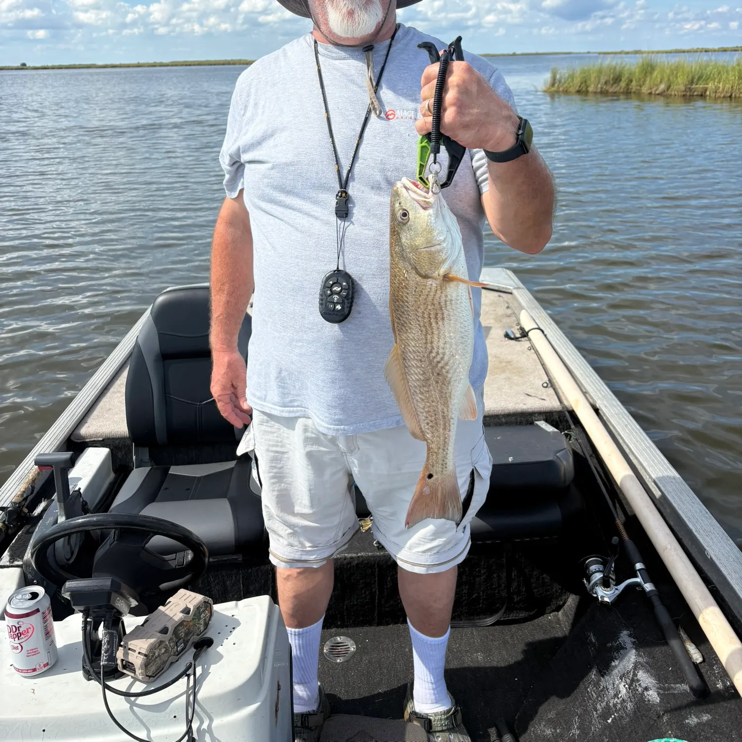 Red drum caught on Fishbrain
