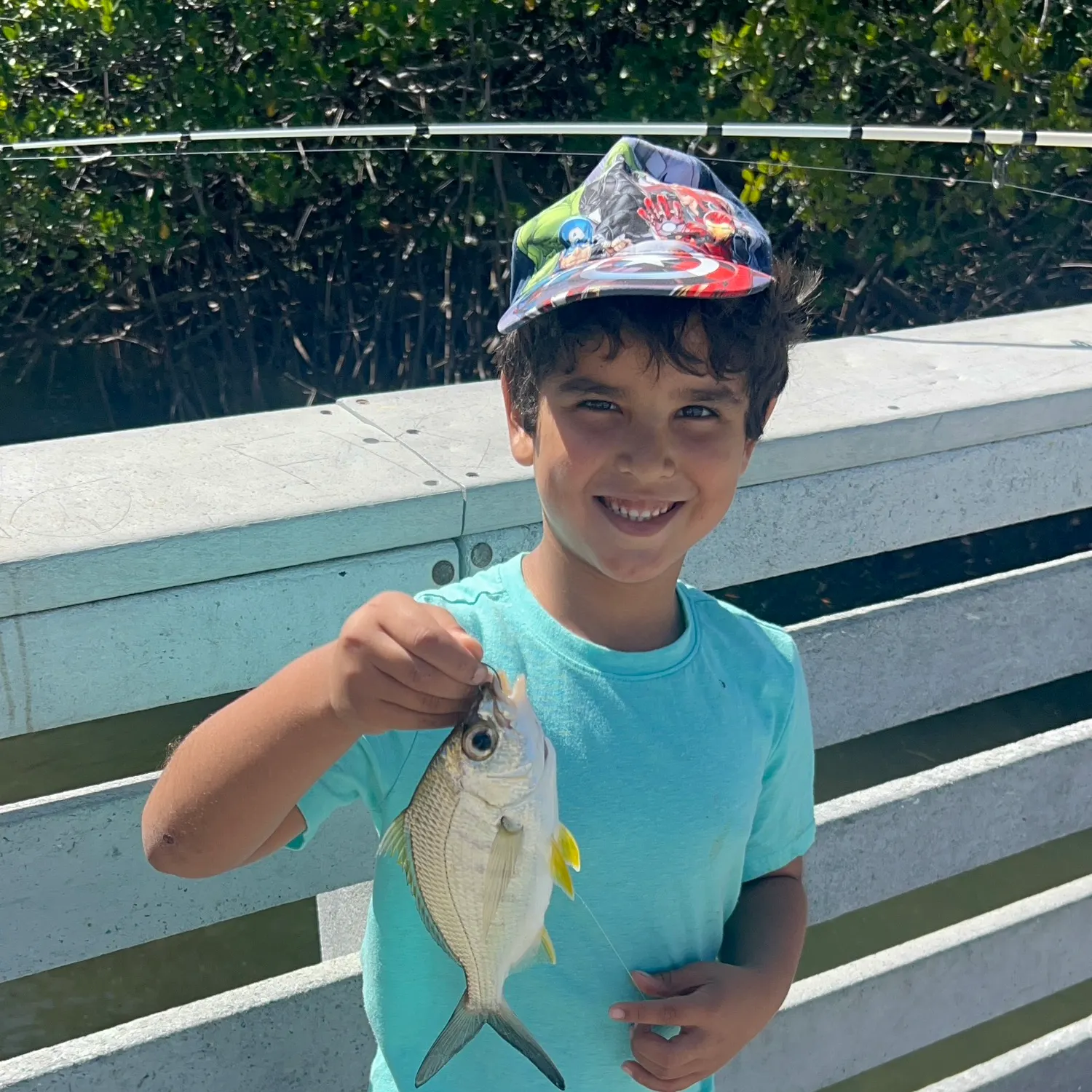 most liked catch image
