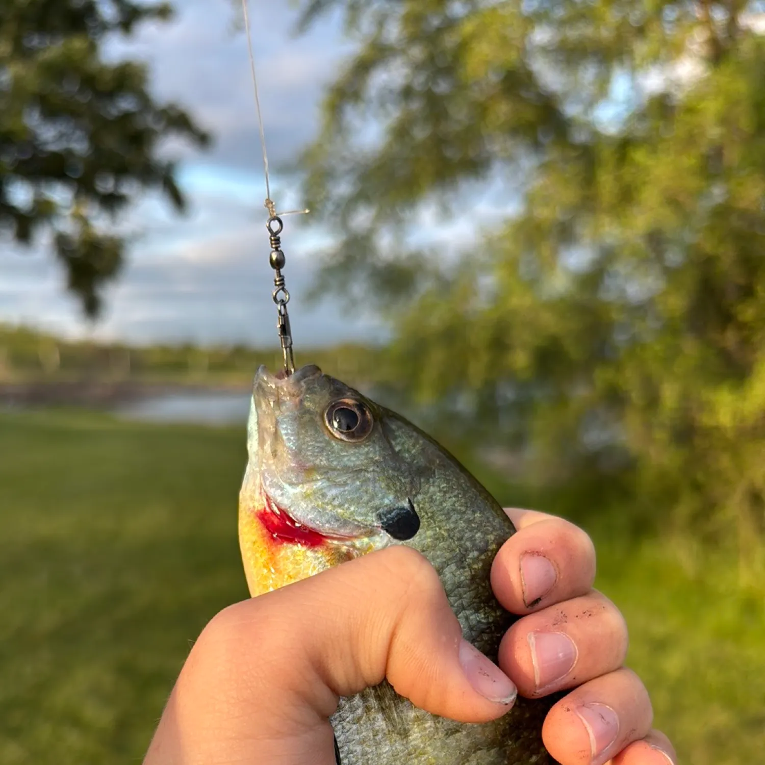 catch