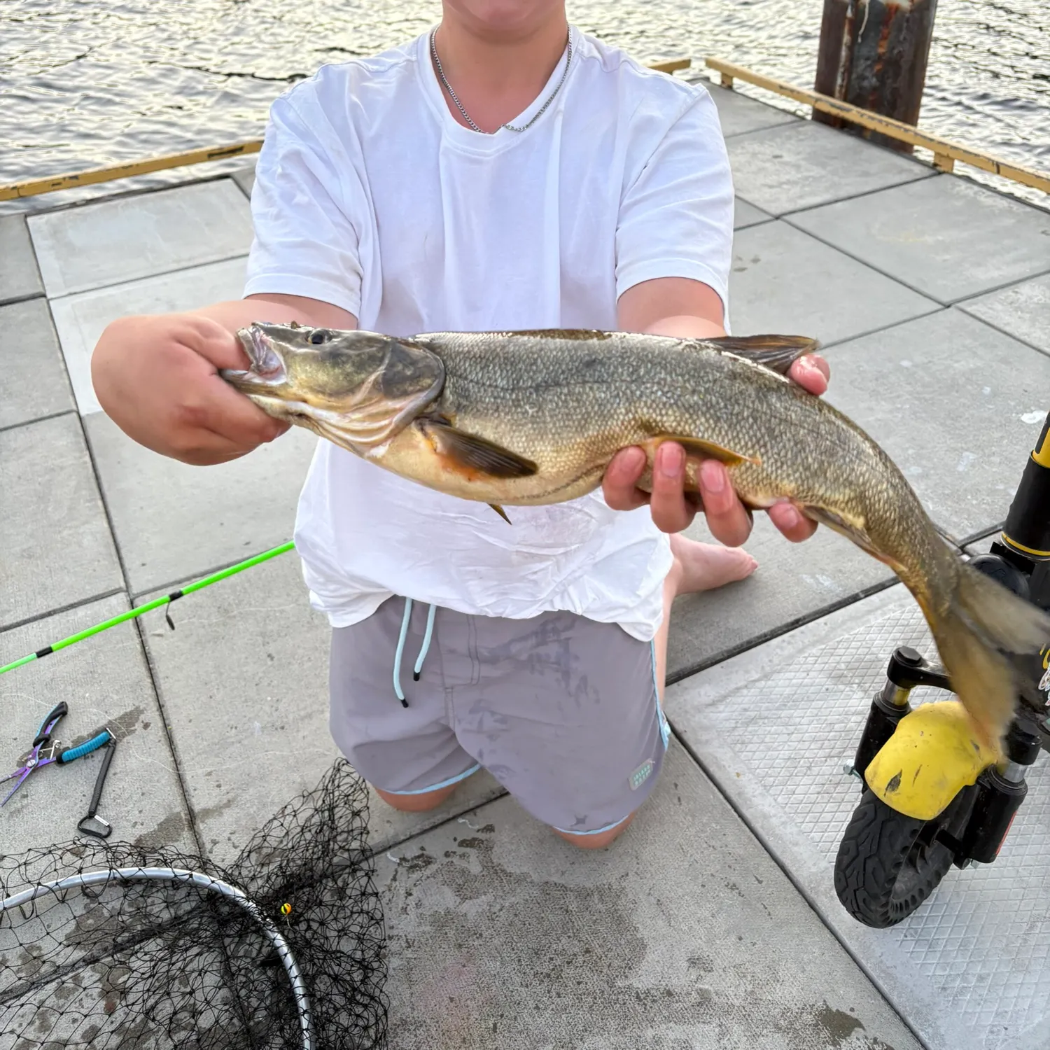 recently logged catches