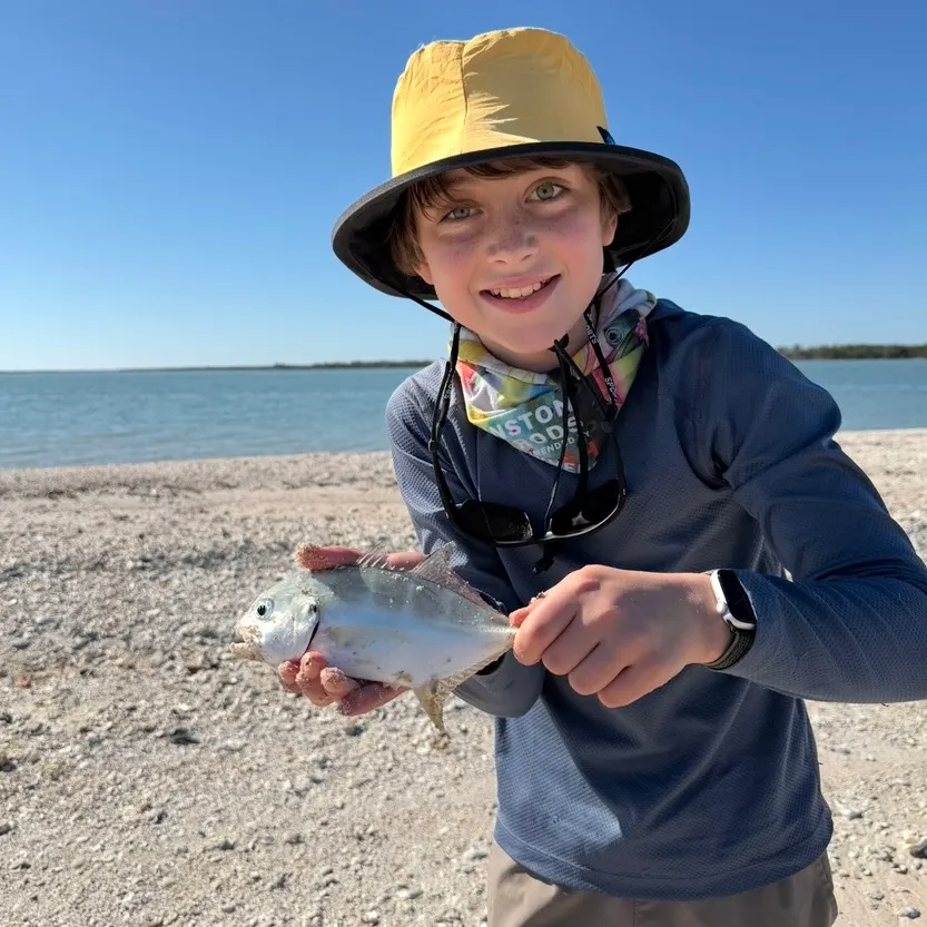 Crevalle jack caught on Fishbrain