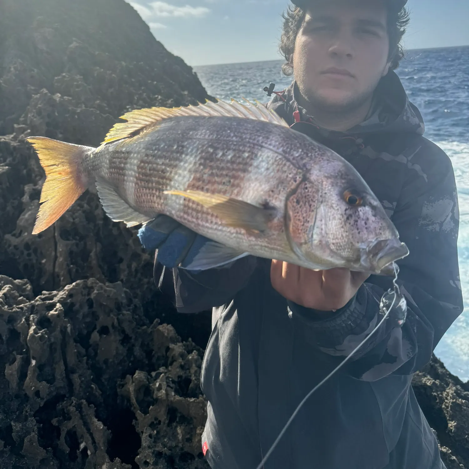 The most recent Common dentex catches on Fishbrain