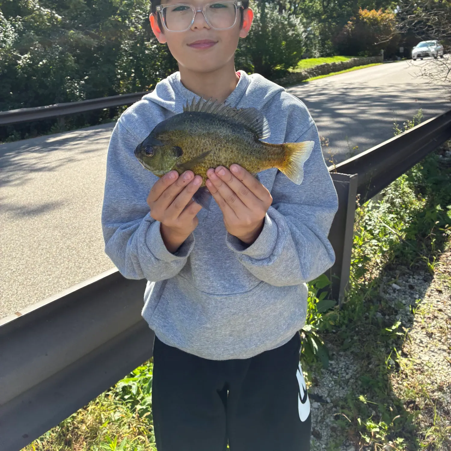 Bluegill caught on Fishbrain