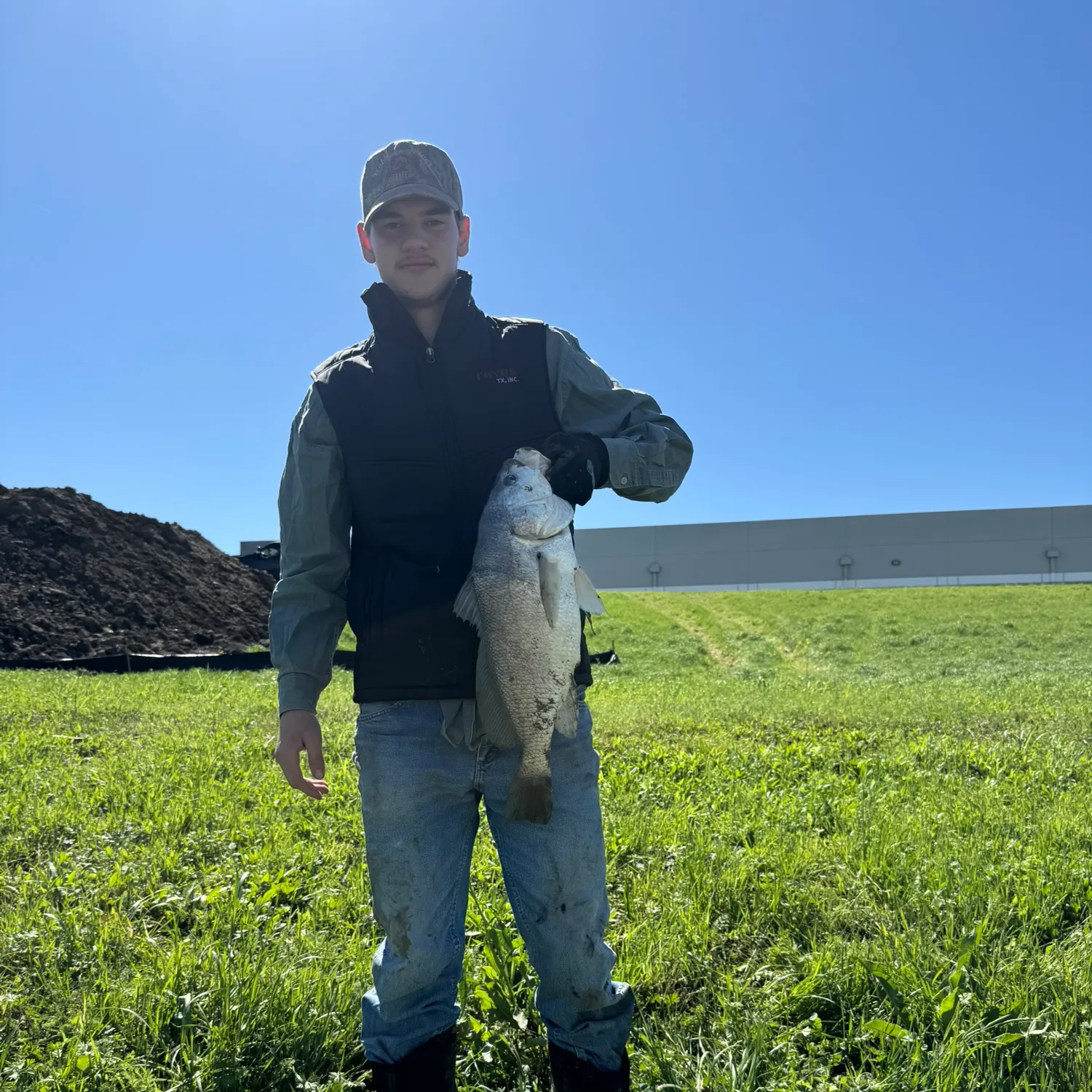 Freshwater drum caught on Fishbrain