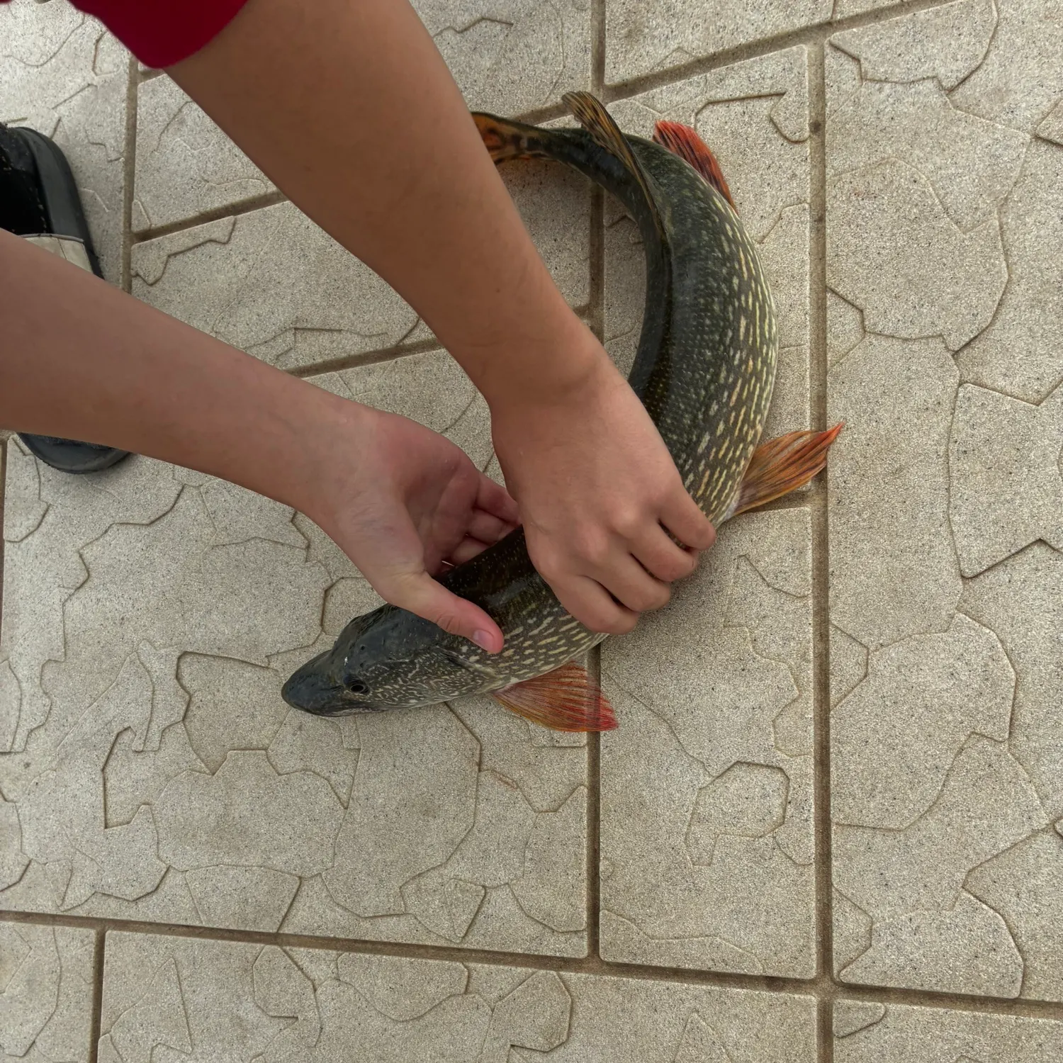 catch