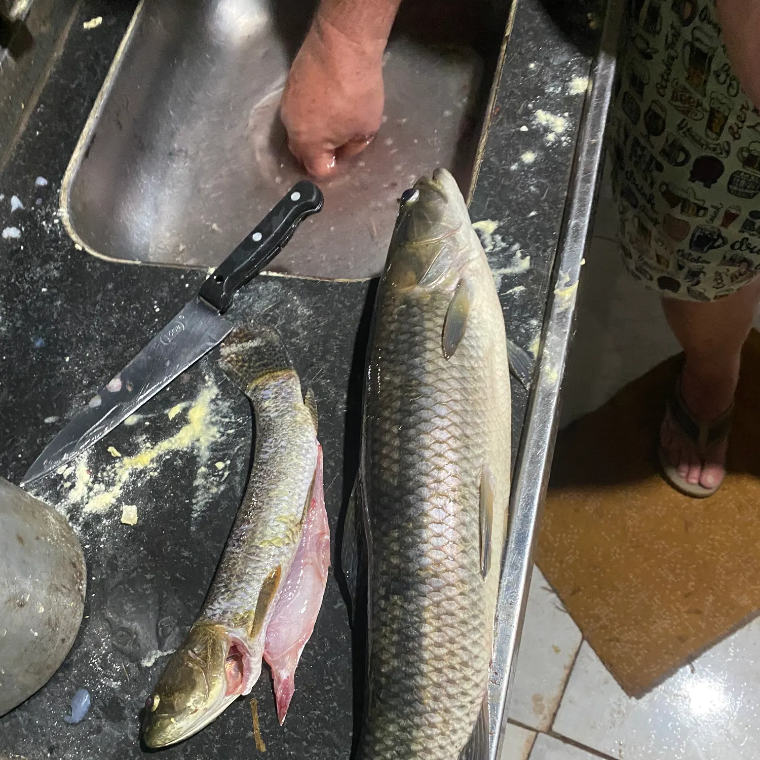 The most recent Trahira catches on Fishbrain