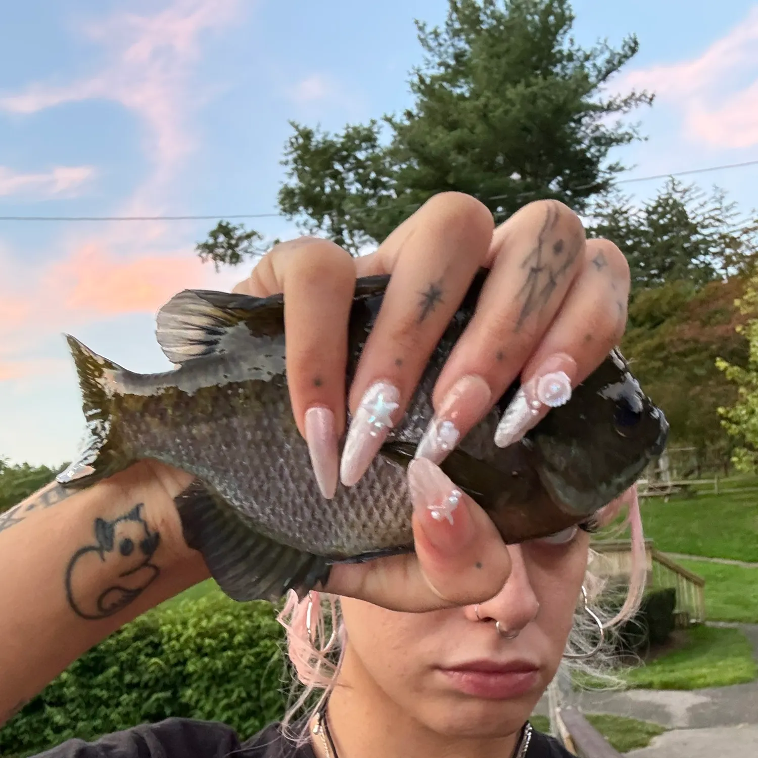 Bluegill caught on Fishbrain