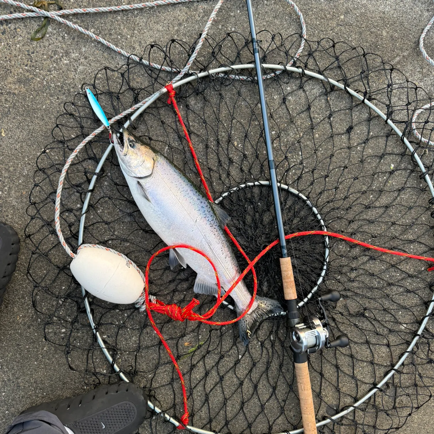 catch