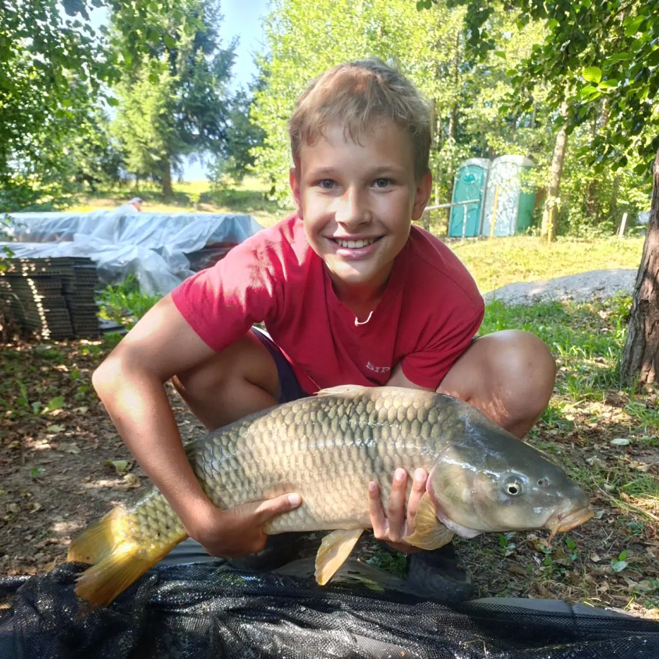 Common carp caught on Fishbrain