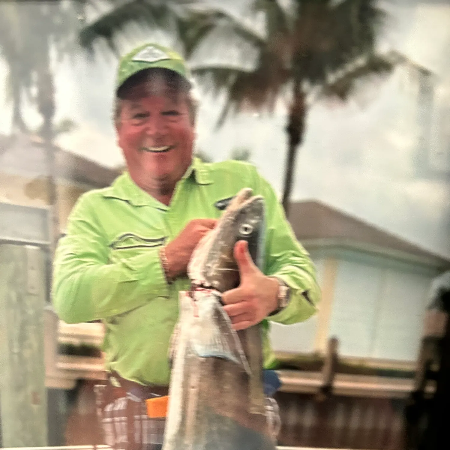 The most recent Cobia catches on Fishbrain
