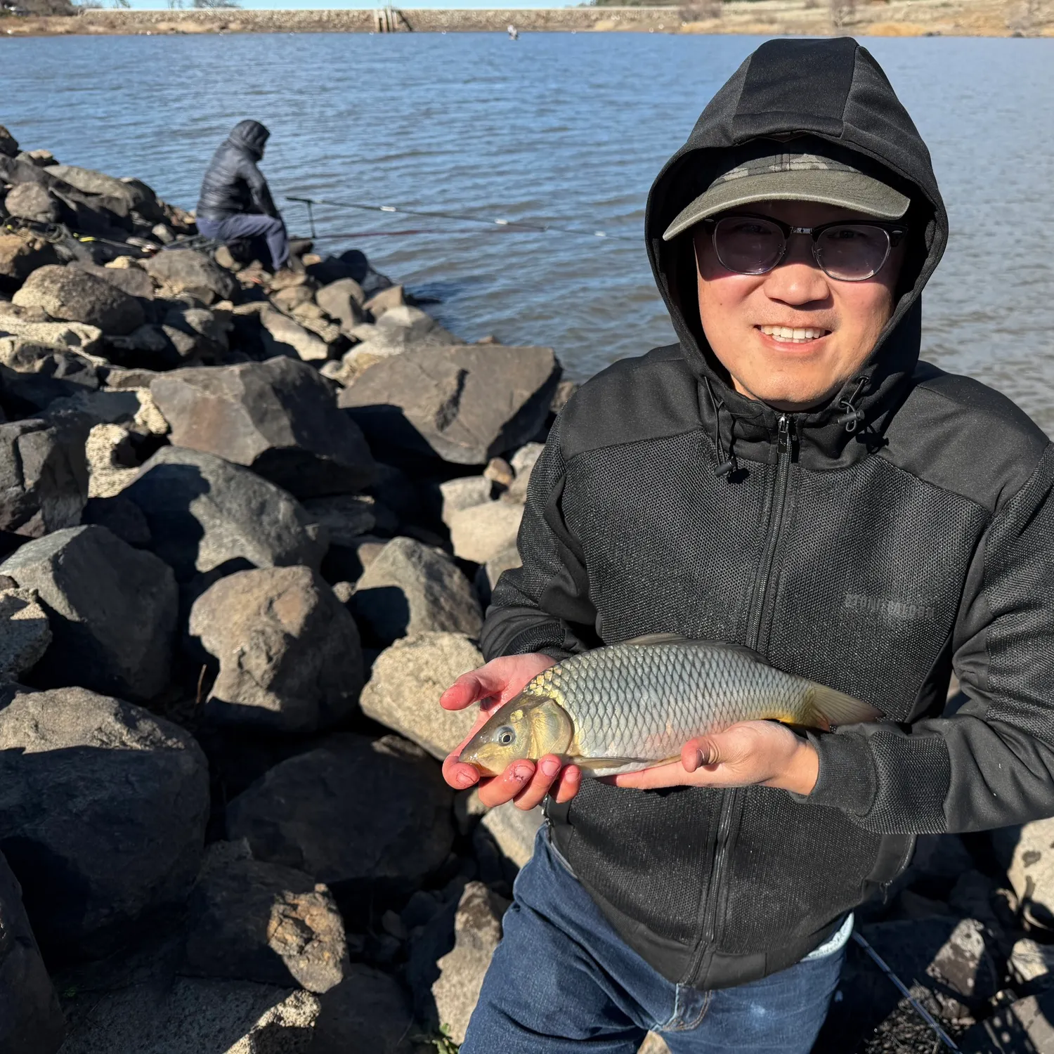 The most recent Common carp catches on Fishbrain