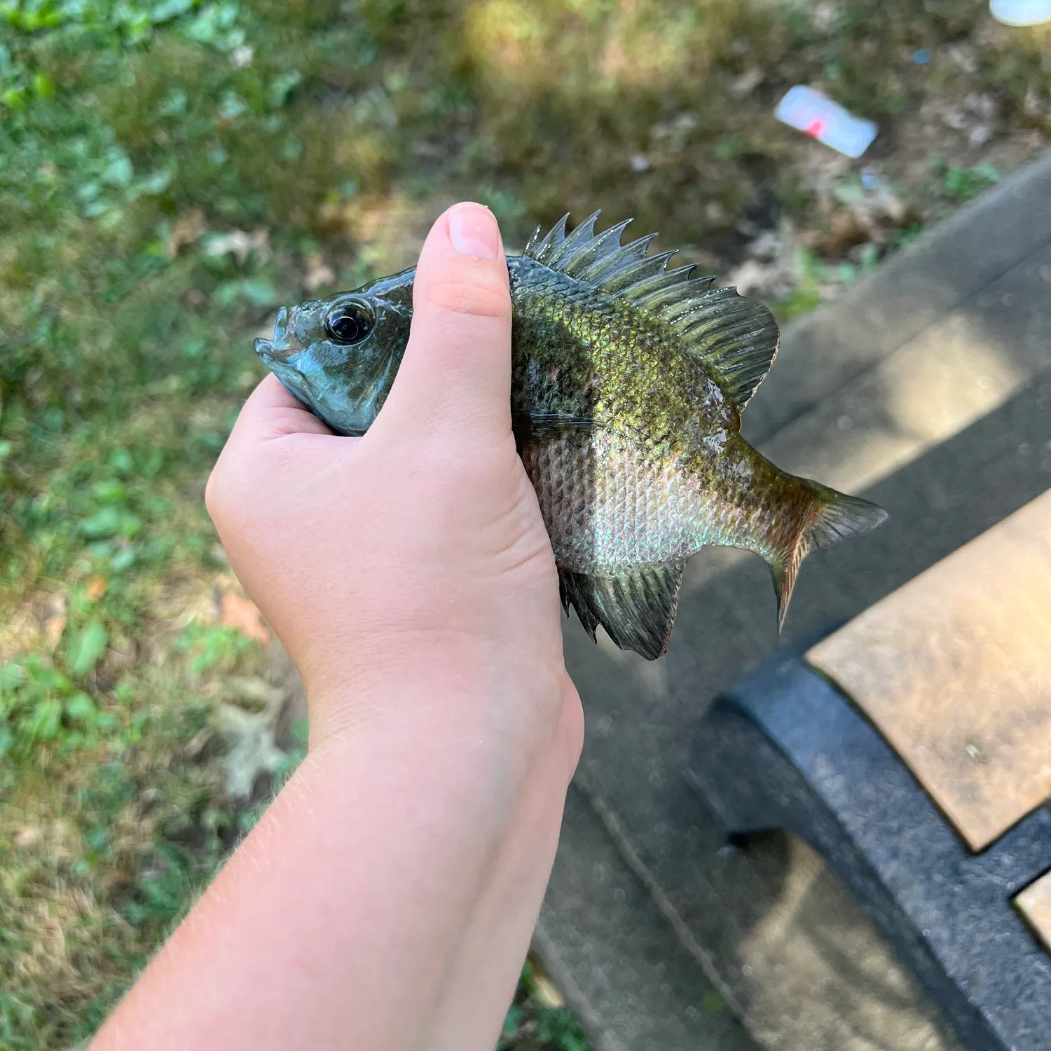 catch