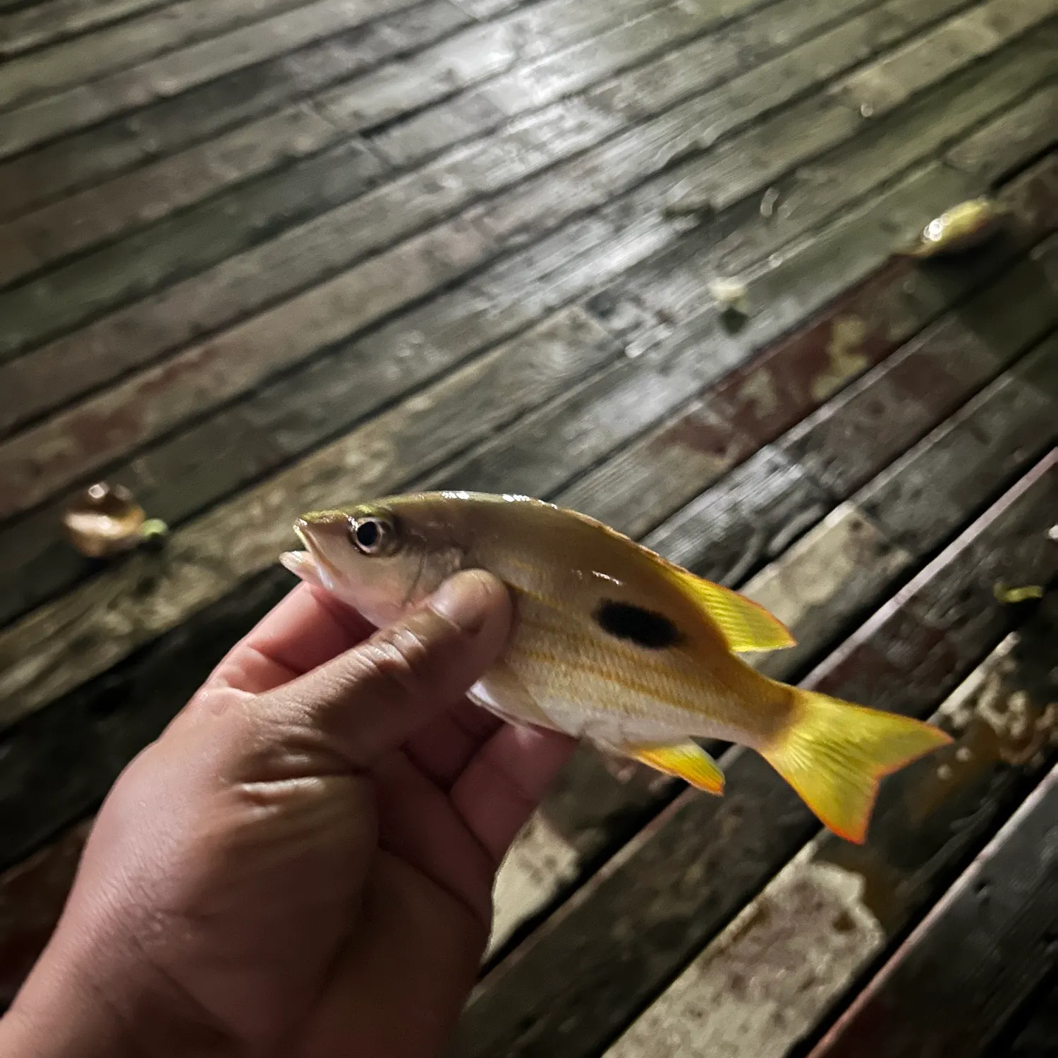 most liked catch image