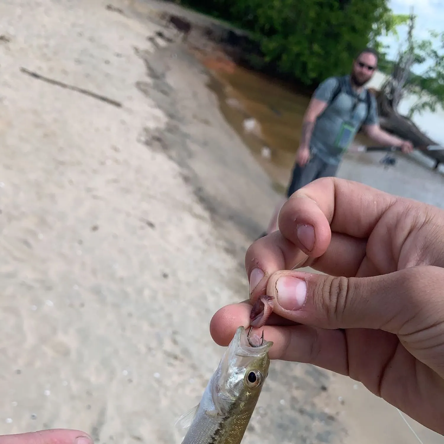 angler catch