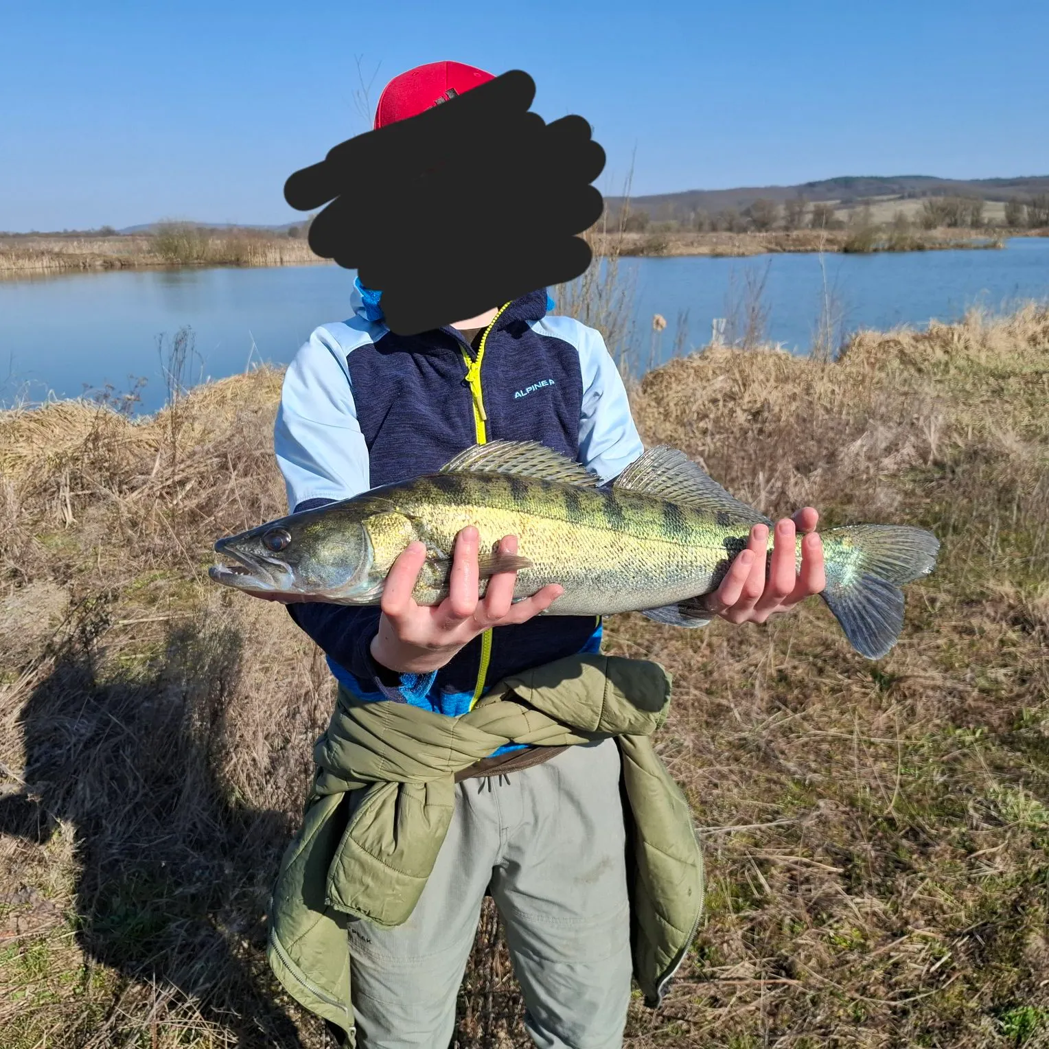 The most recent Zander catches on Fishbrain