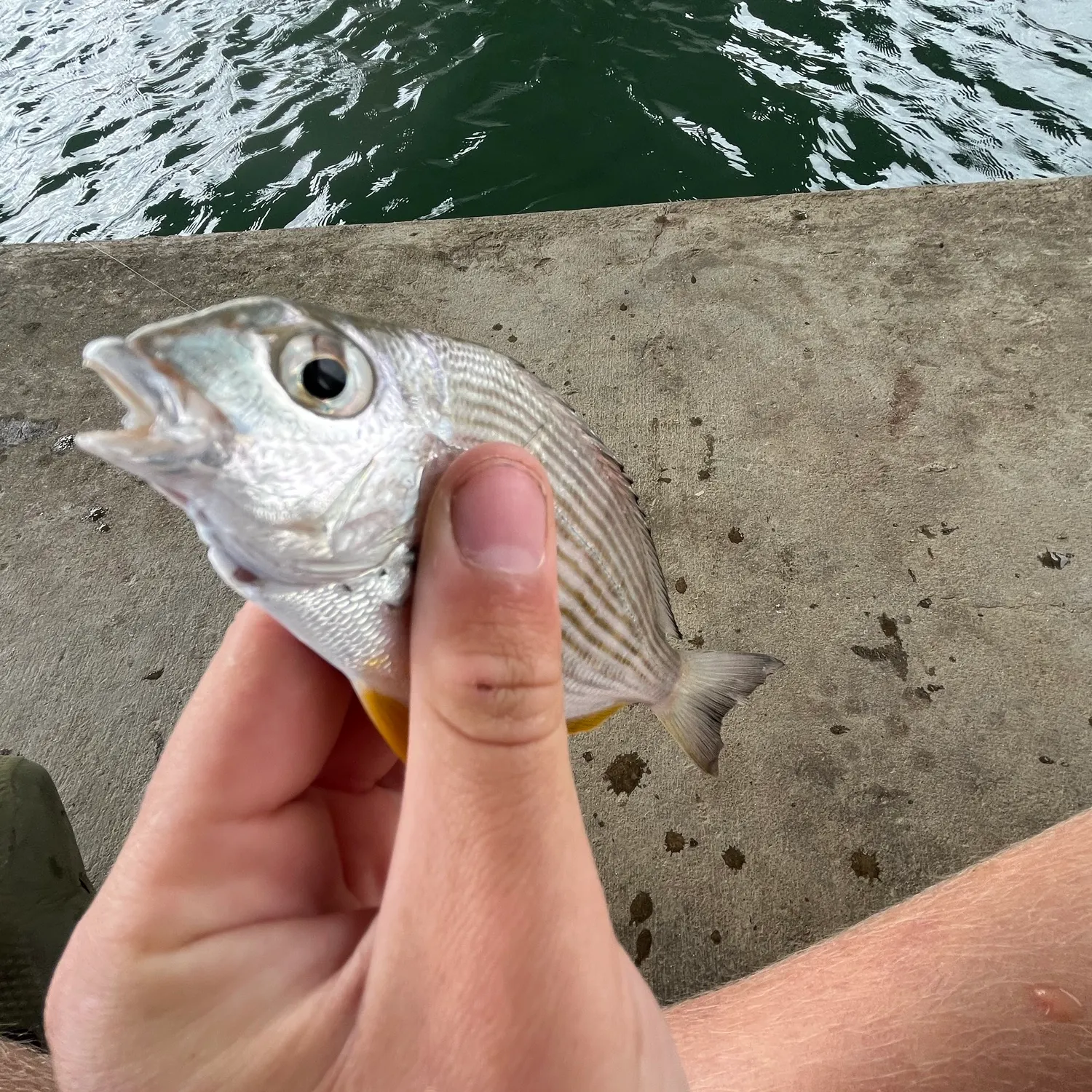 catch