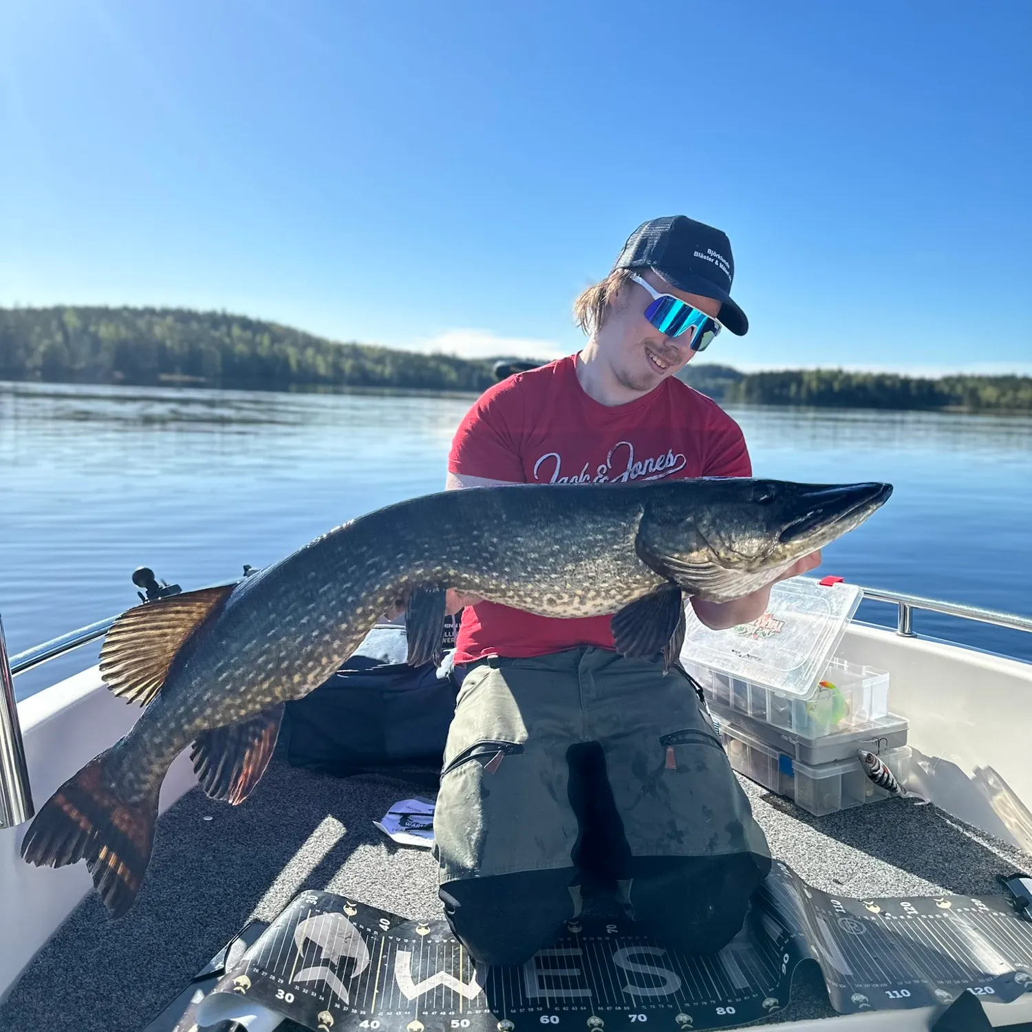 Northern pike caught on Fishbrain