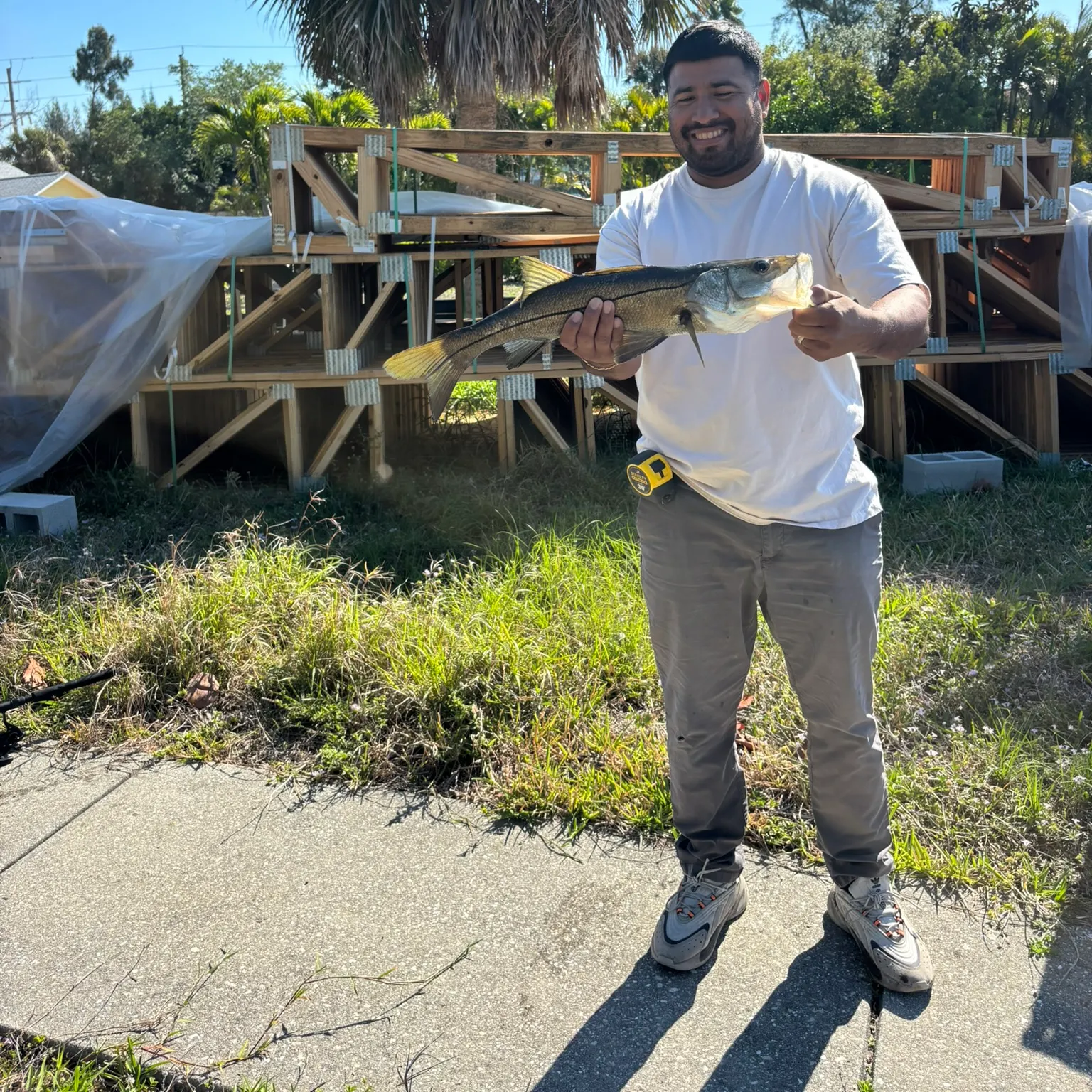 The most recent Fat snook catches on Fishbrain