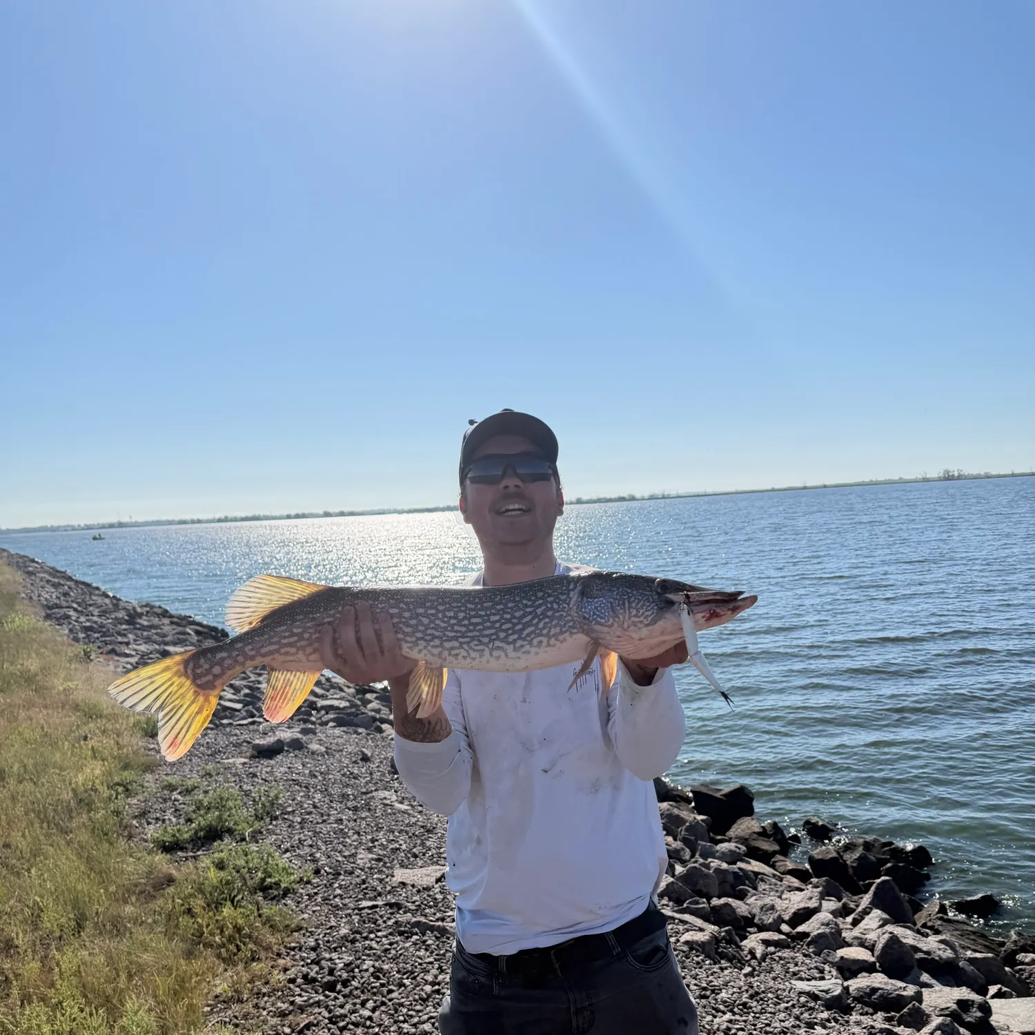 Northern pike caught on Fishbrain