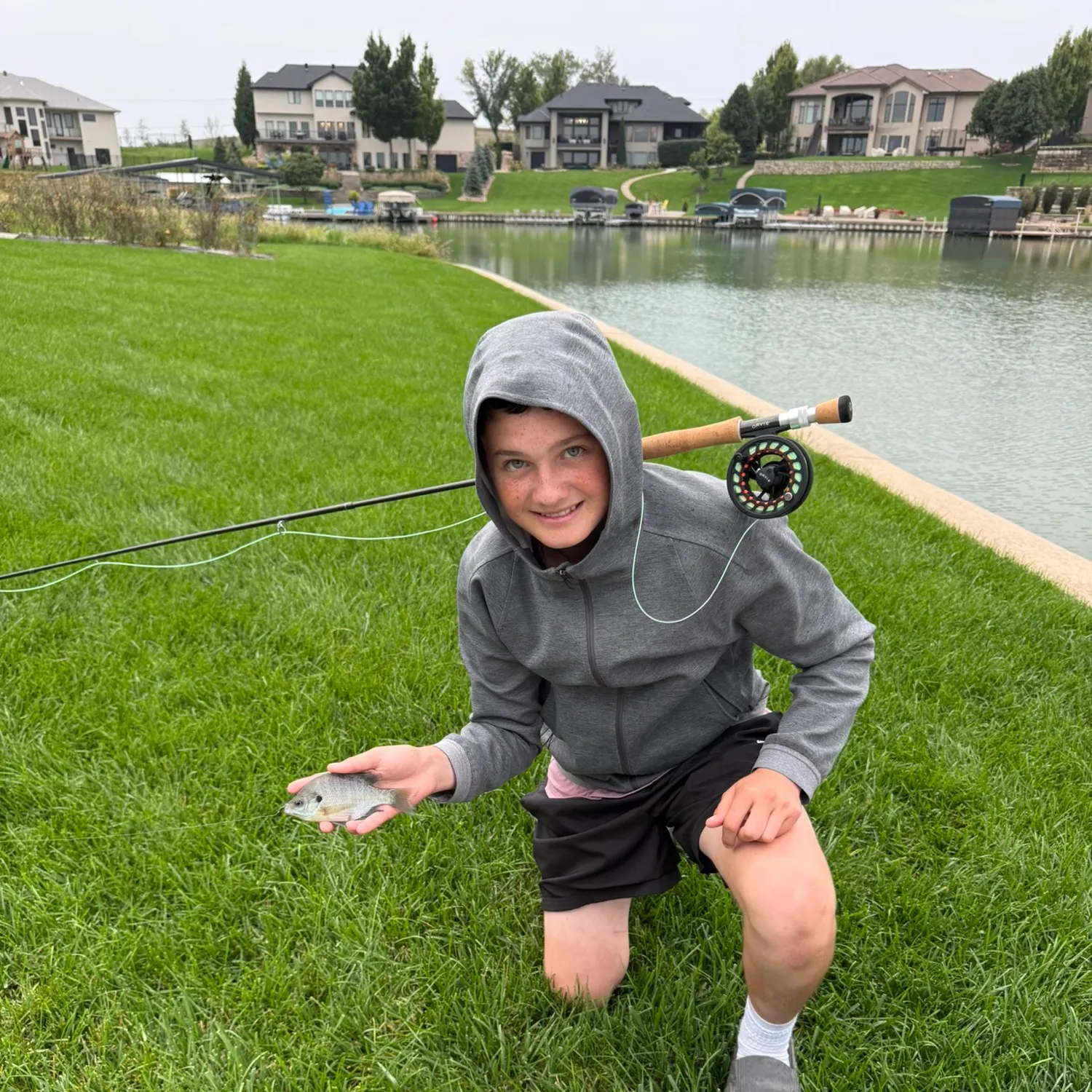 Bluegill caught on Fishbrain