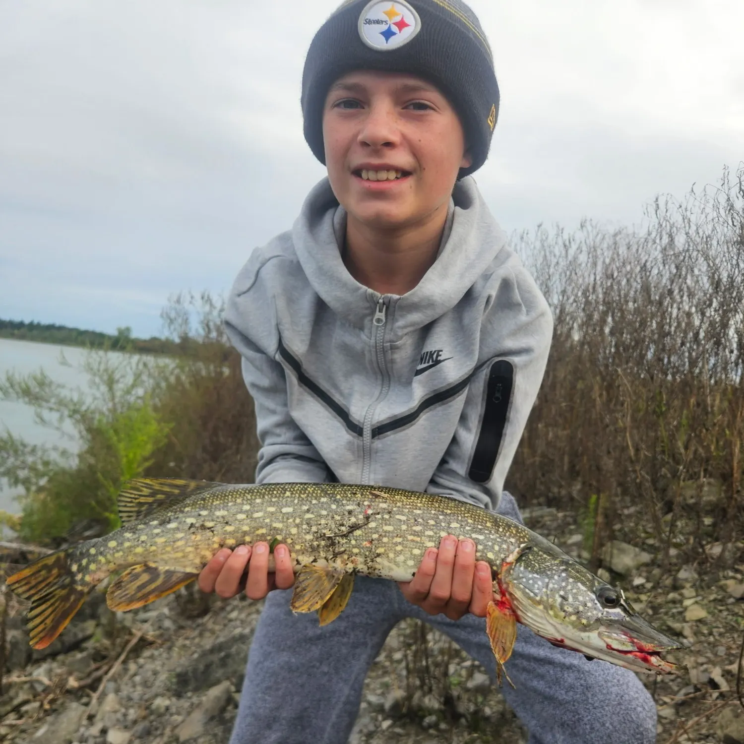 Northern pike caught on Fishbrain