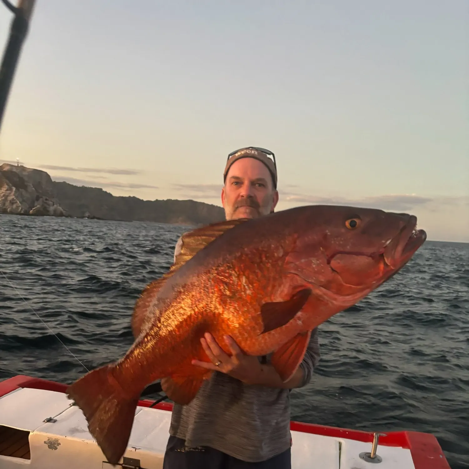 The most recent Cubera snapper catches on Fishbrain