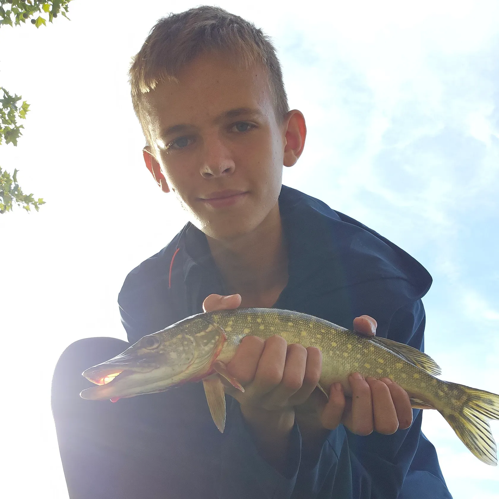 Northern pike caught on Fishbrain