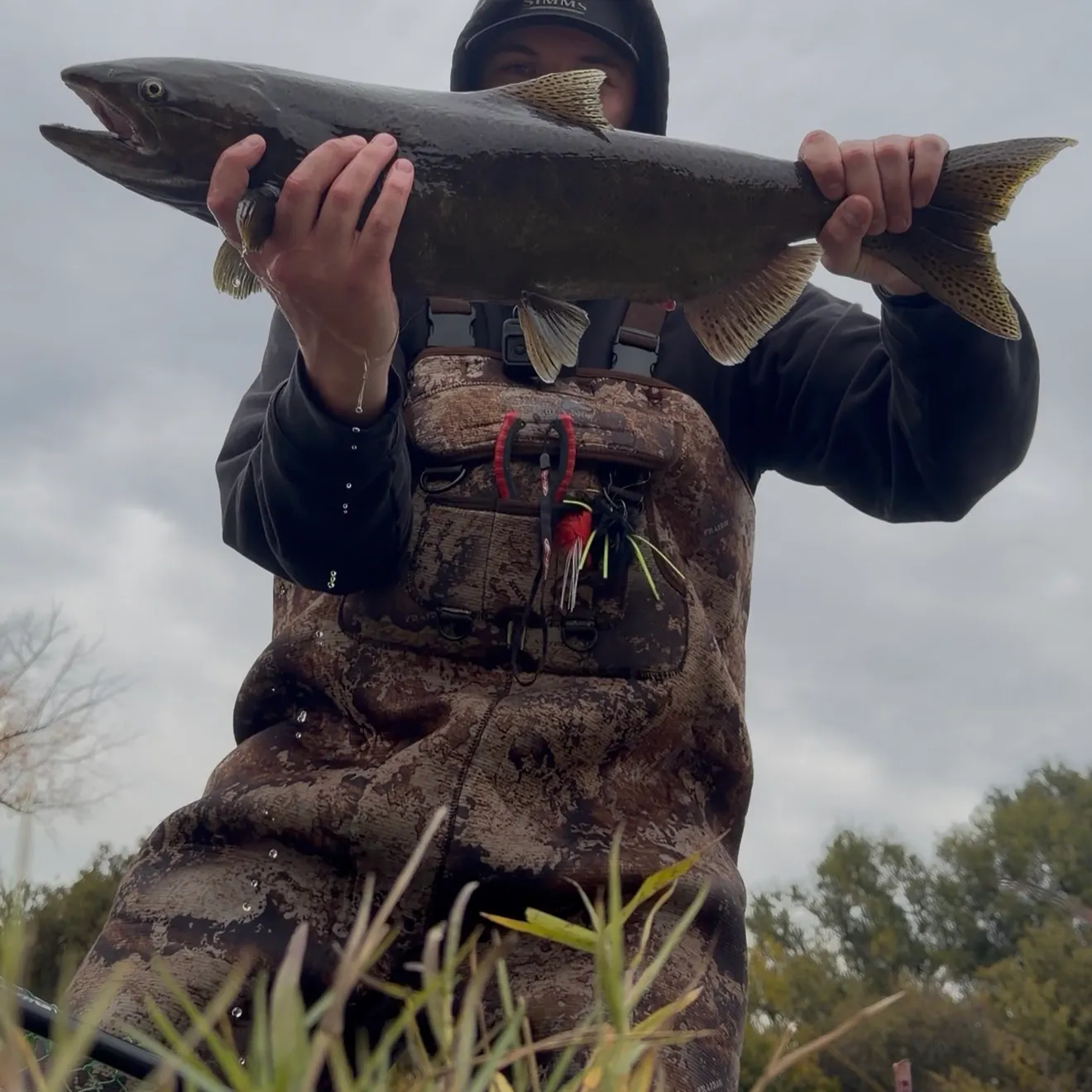 Chinook salmon caught on Fishbrain