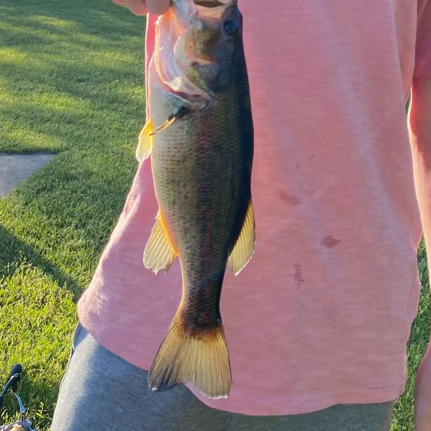 angler catch