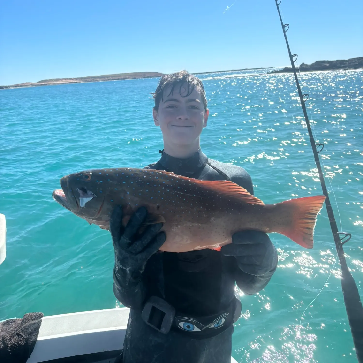 The most recent Leopard coralgrouper catches on Fishbrain