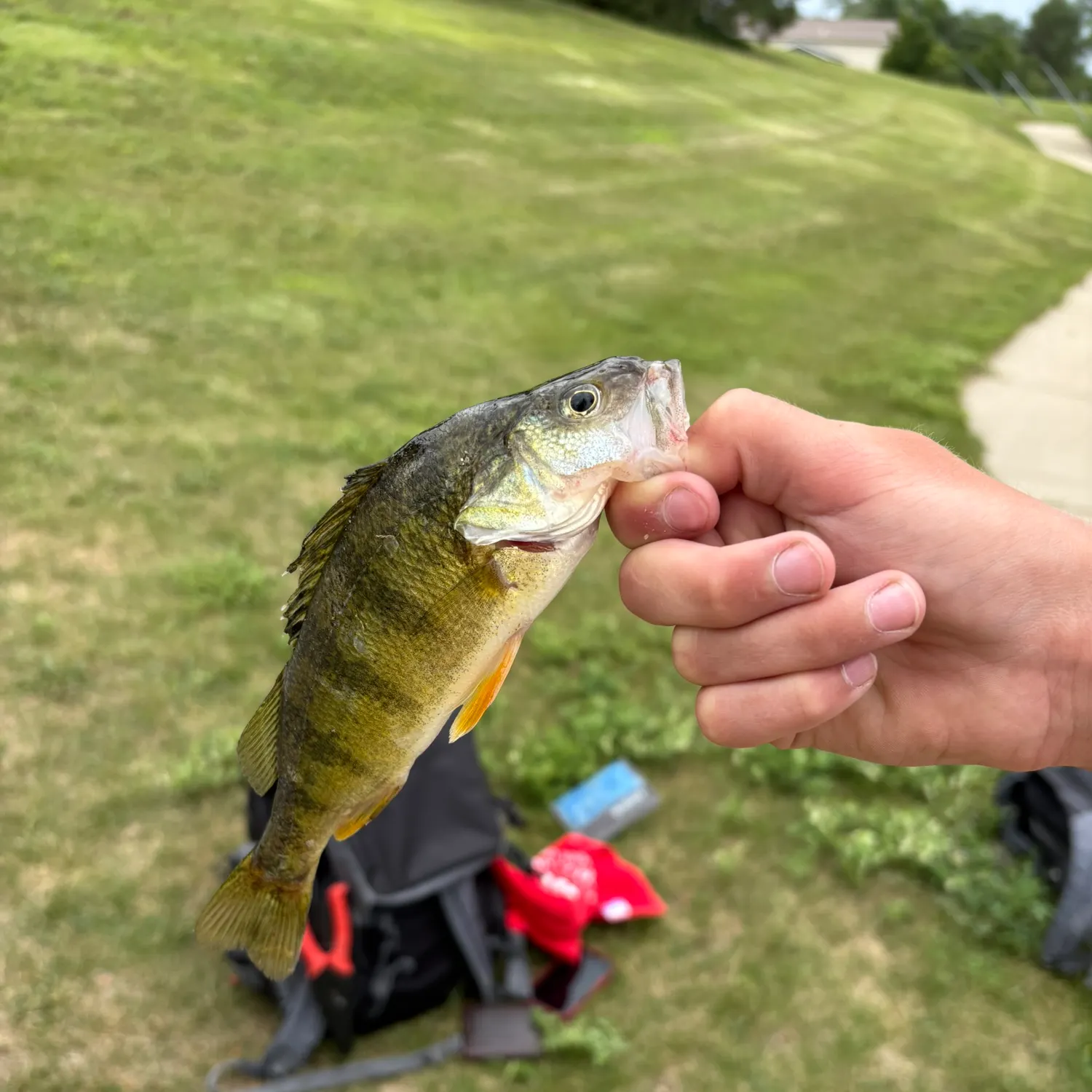 catch